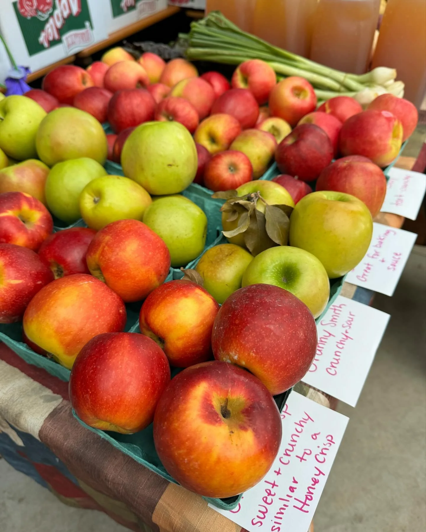 Display of fresh apples and green onions at a farmers market, with handwritten price and description tags.