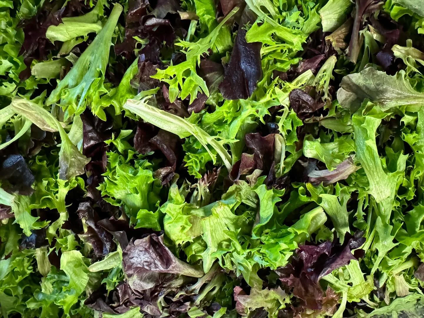 Close-up of various fresh leafy greens.