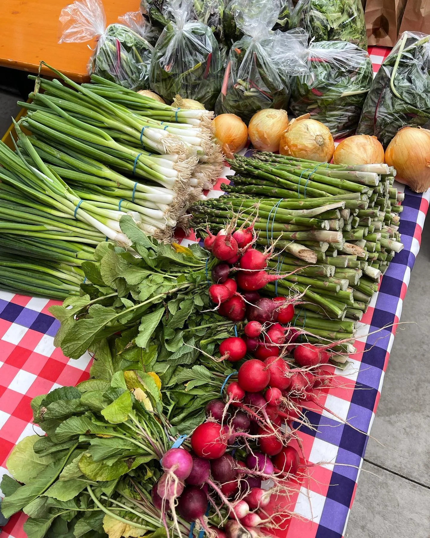 Fresh vegetables on a checkered tablecloth, including bunches of green onions, radishes, and onions, with bags of leafy greens in the background at a market.