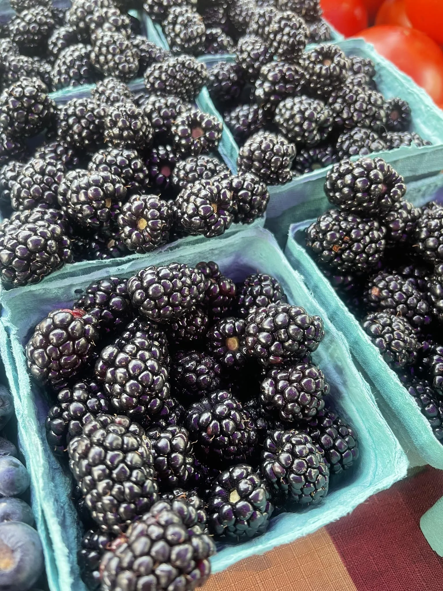 Blackberries in a blue container at a market stand.