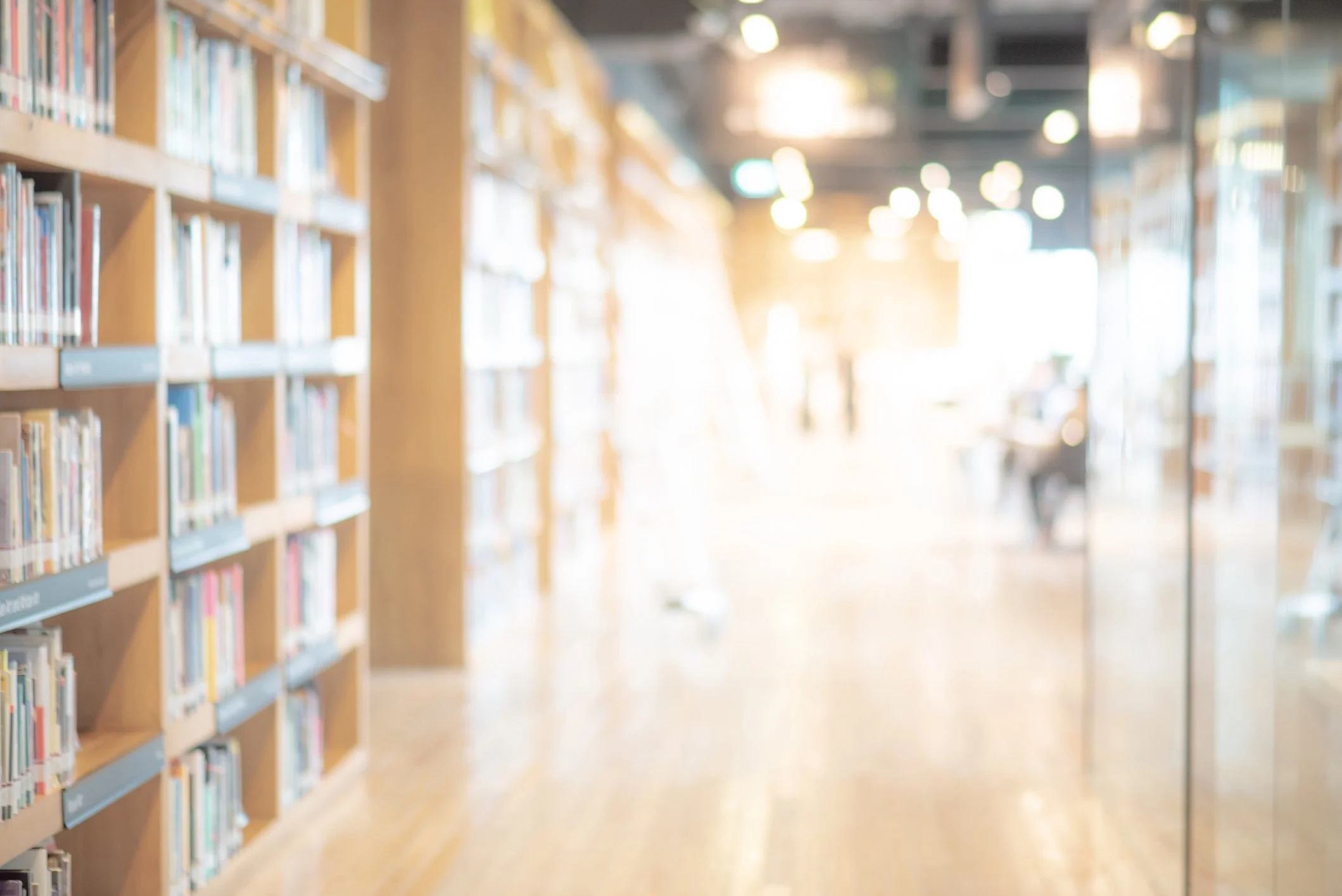 Blurred view of a bright library with bookshelves on the left and large windows in the background.