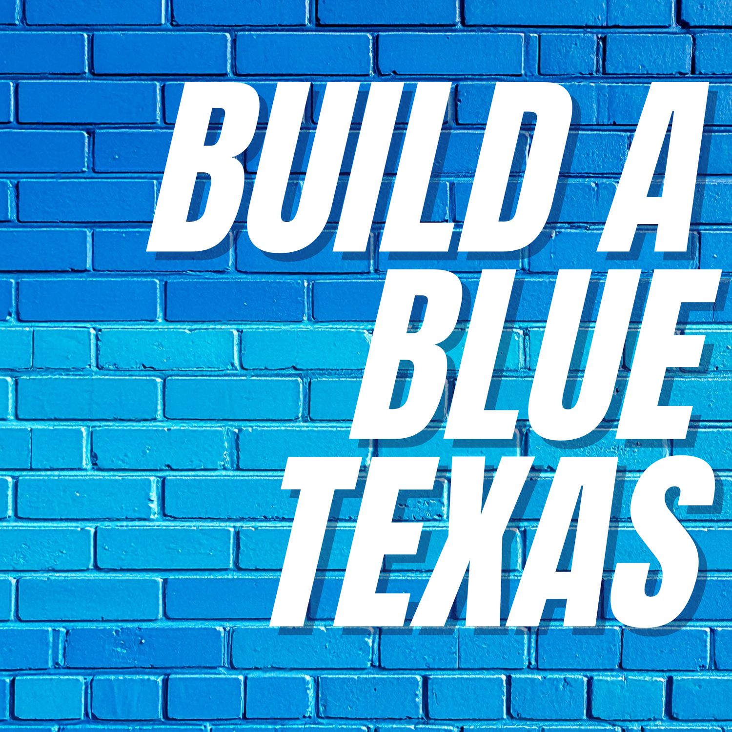 Build a Blue Texas PAC