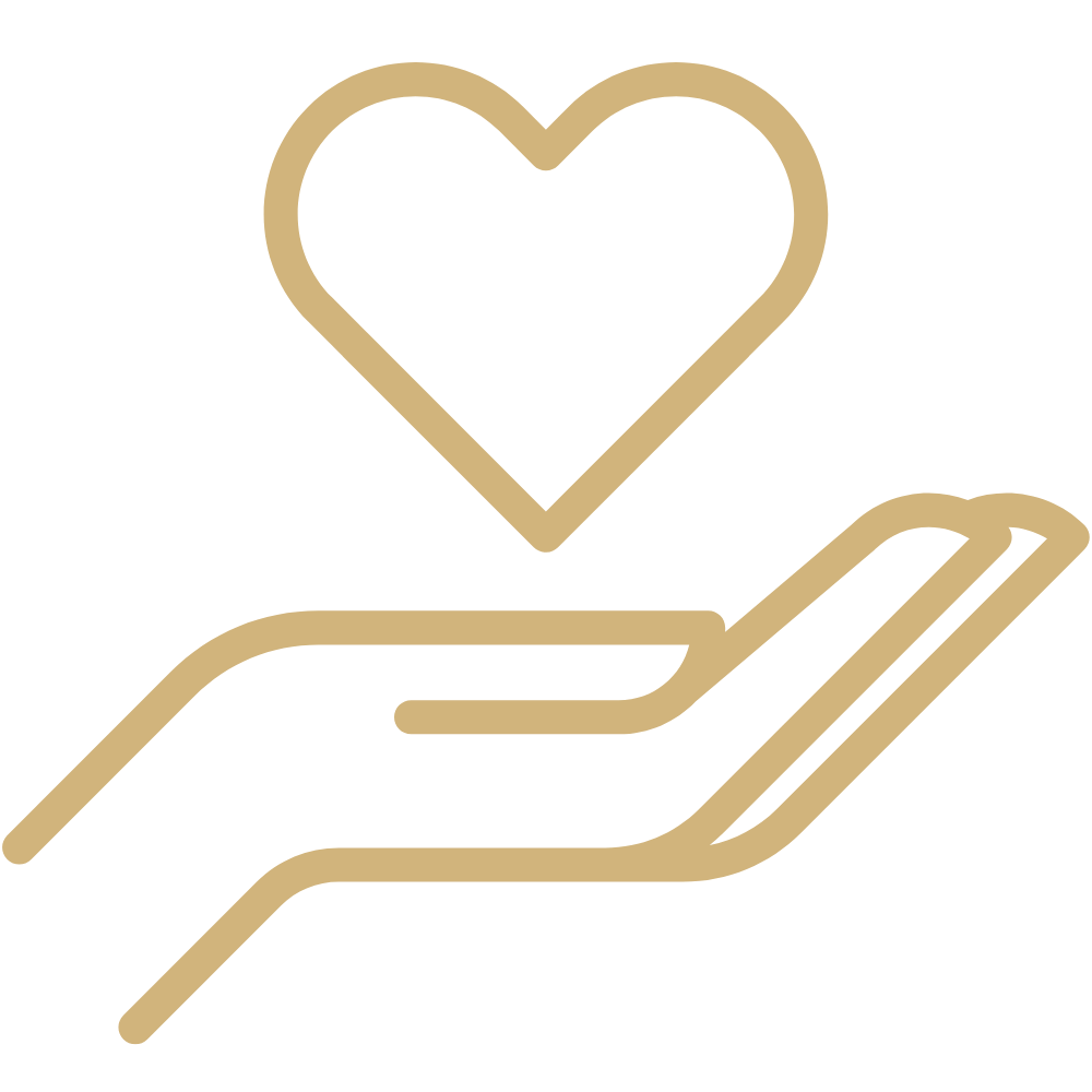 Icon of a hand holding a heart representing responsive support