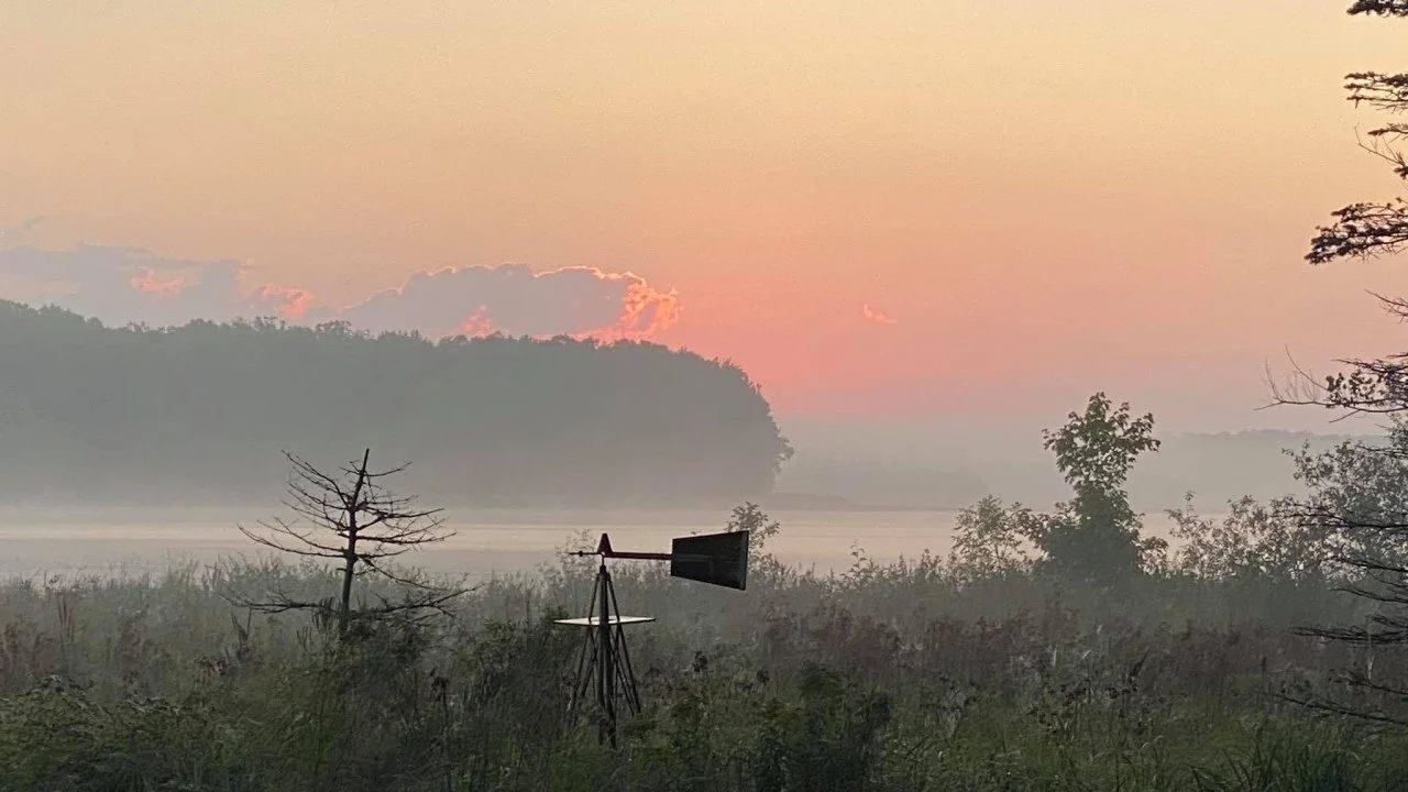 A sunrise over a misty wetland with trees and a wind turbine in the foreground.