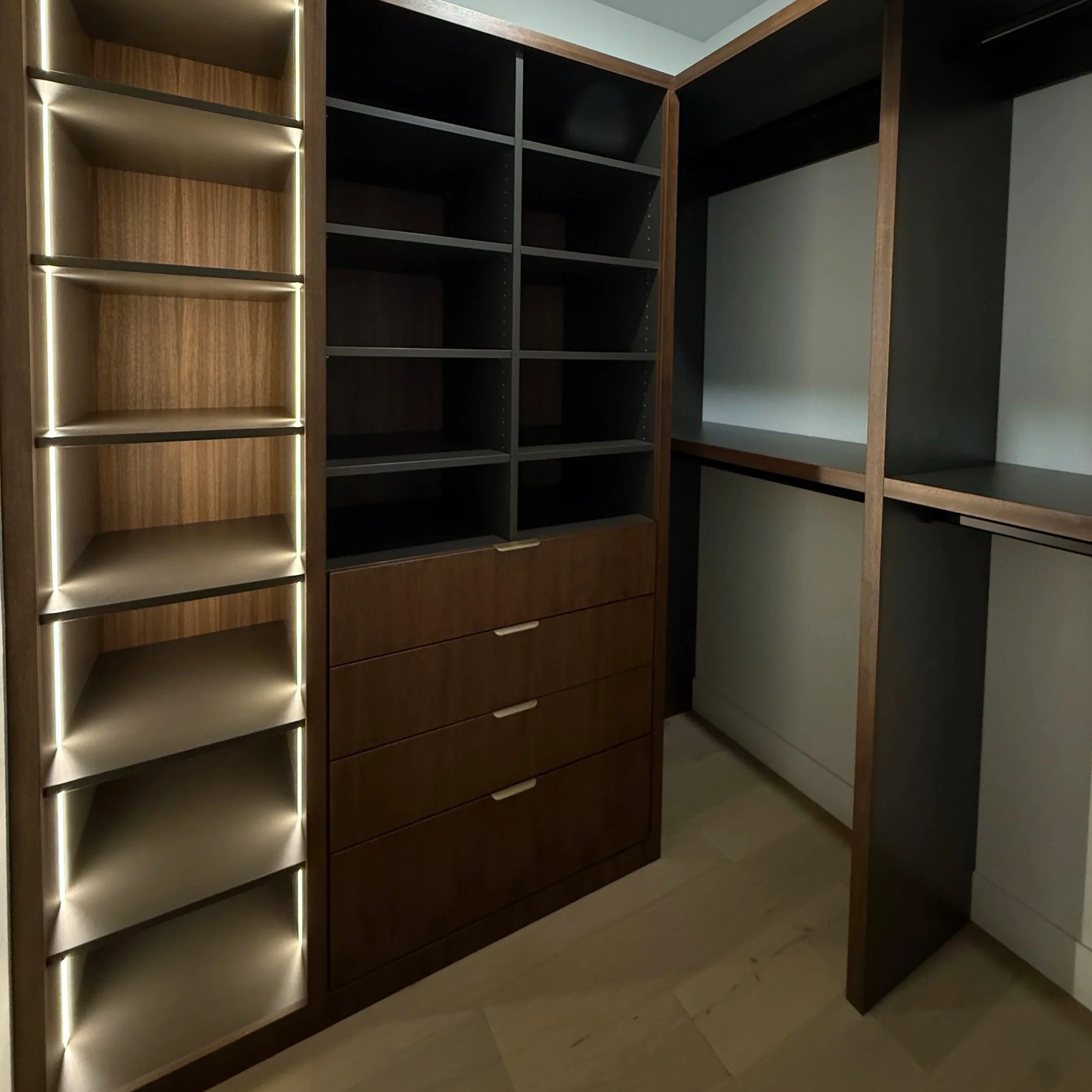 modern built in cabinets colorado