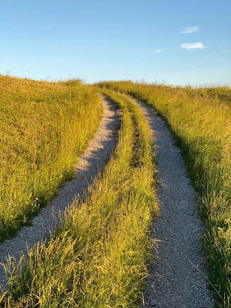 Einzelcoaching
