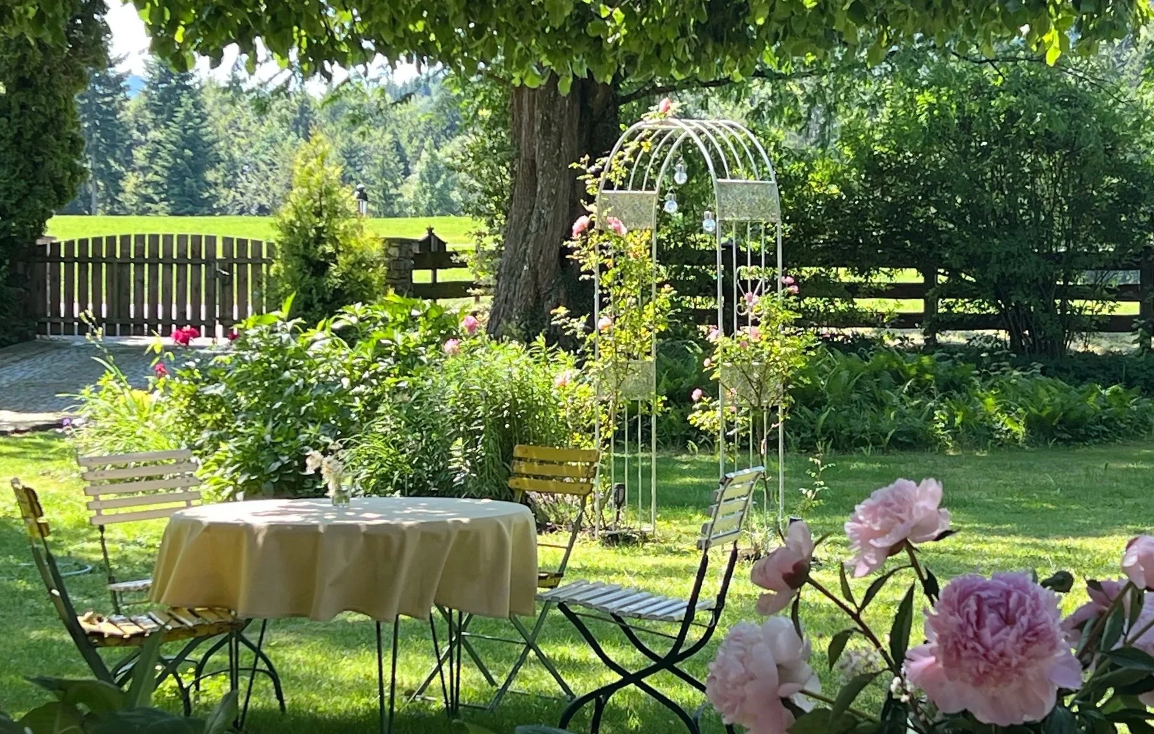 Ein ruhiger Garten mit einem runden Tisch, umgeben von Stühlen, blühenden Rosen und einem weißen Metallbogen mit Dekorationen.