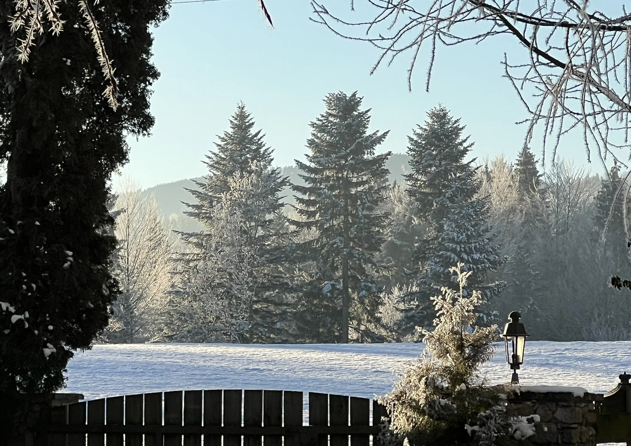 Ein verschneiter Garten mit Schnee bedeckten Bäumen, einer Laterne und einem Zaun im Vordergrund, inmitten einer Winterlandschaft unter klarem Himmel.