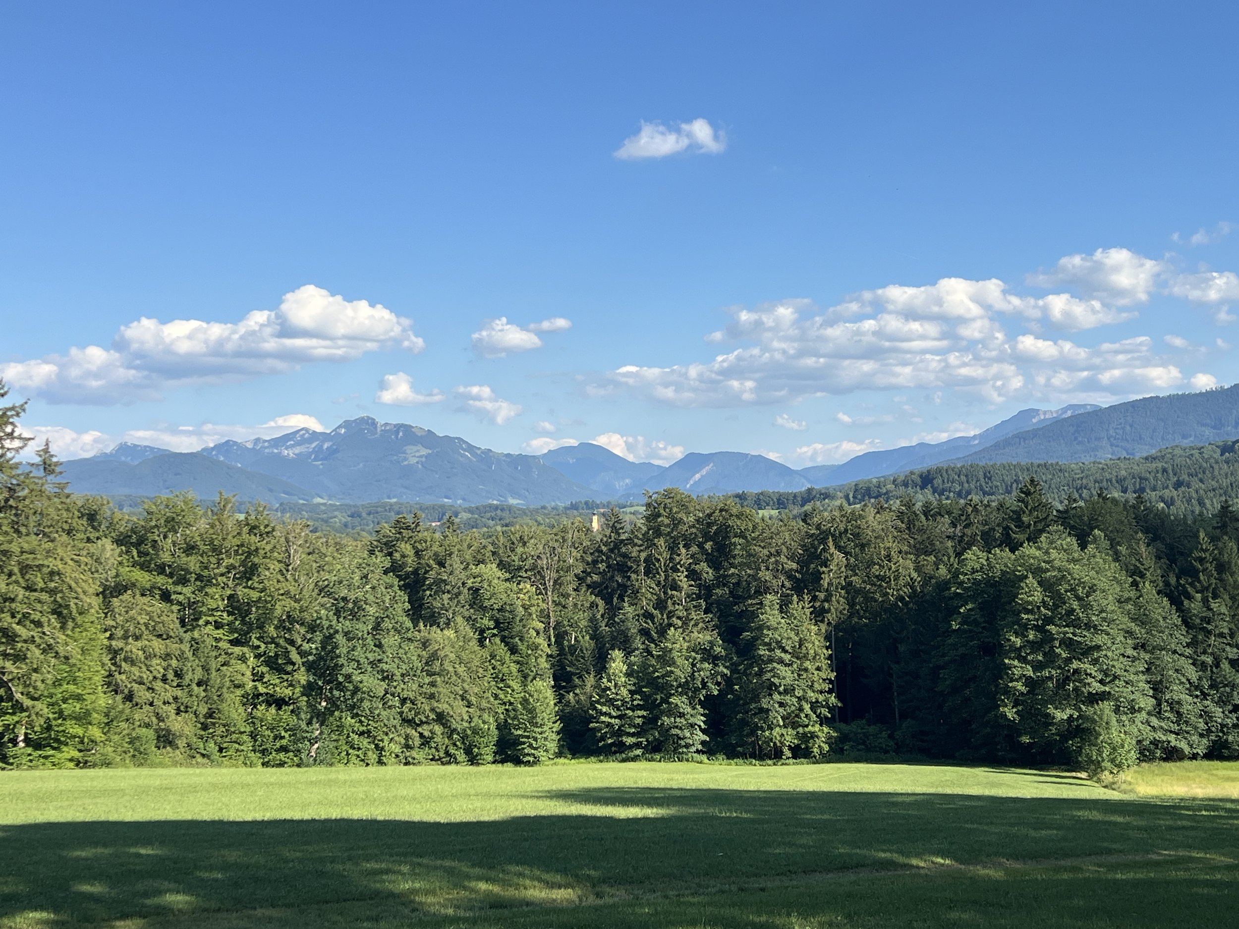 Grüner Wiesenpark vor einer Baum- und Gipfelkette, blauer Himmel mit weißen Wolken.