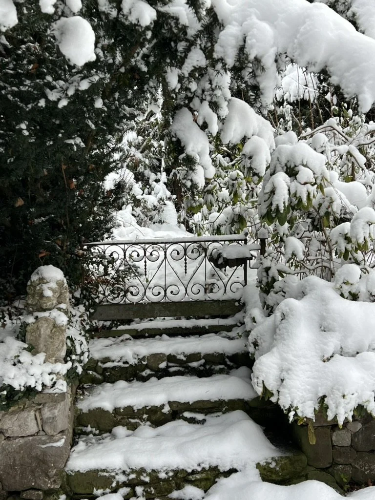 Schneebedeckte Steinstufen führen zu einem kleinen Garten mit einem verzierte Metallzaun. Bäume und Büsche sind stark vom Schnee bedeckt.