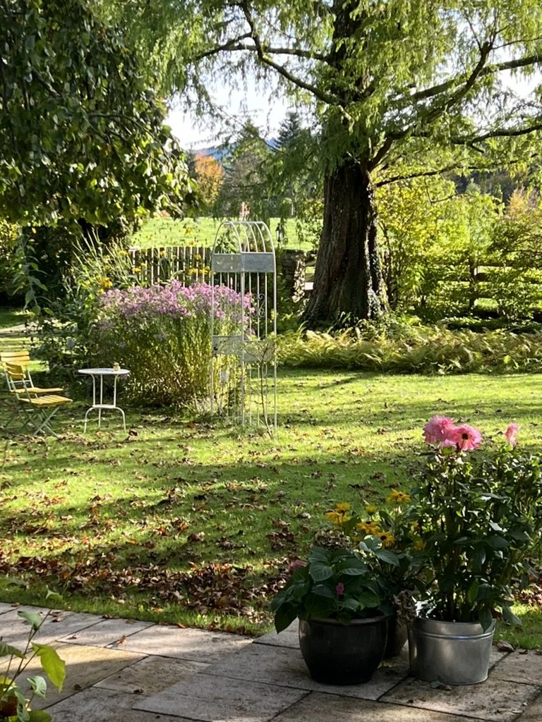 Ein Garten mit blühenden Blumen, einem großen Baum, Gartenmöbeln und einer kleinen weißen Rankhilfe. Es ist sonnig, und das Laub fällt auf den Rasen.