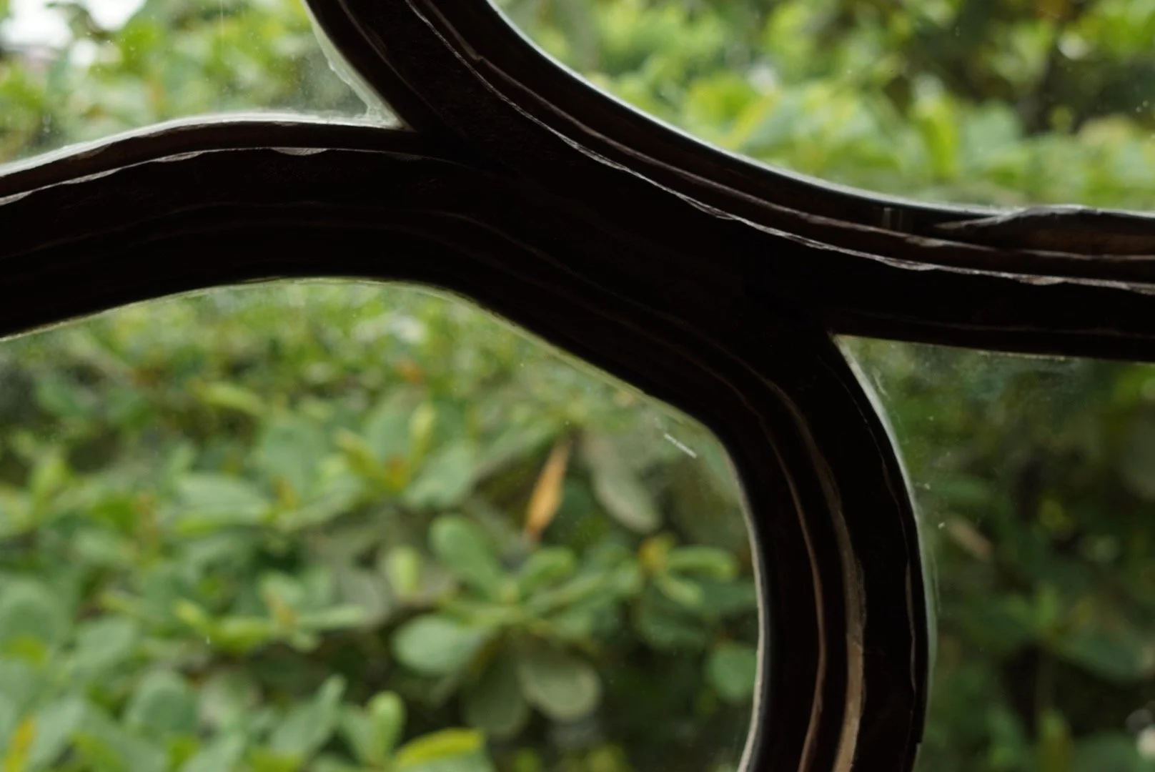 Close-up photograph of curved dark branches crossing against a soft green leafy background, evoking stillness and the beauty of natural forms