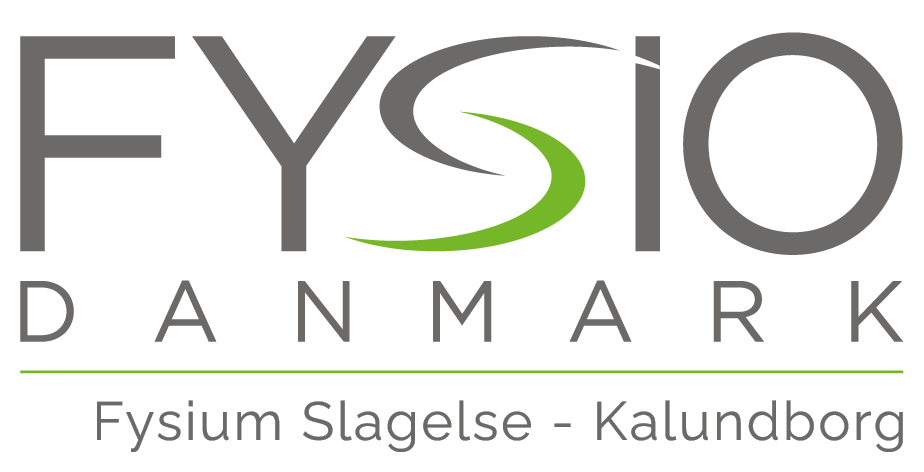 Fysium