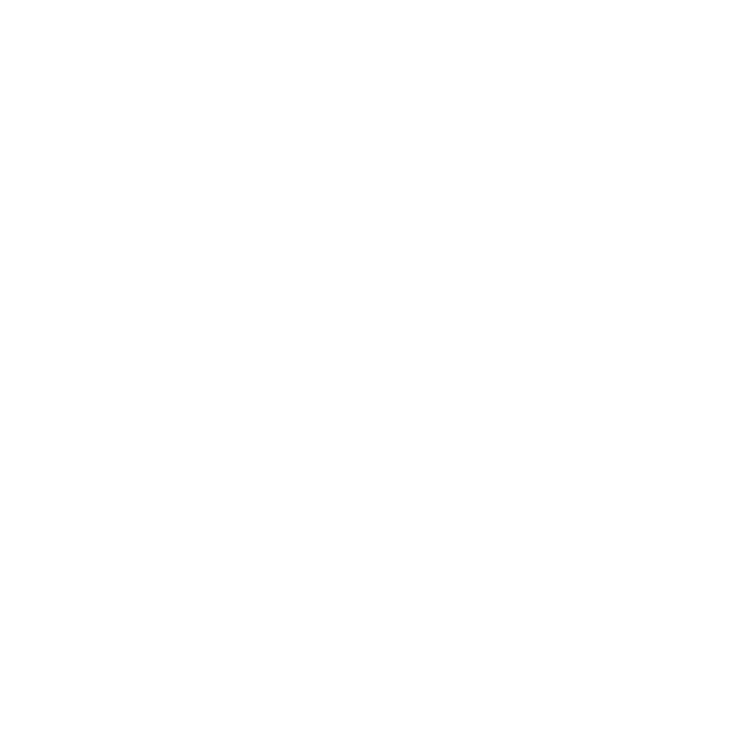 Logo of Exit Planning Institute featuring a torch and text.