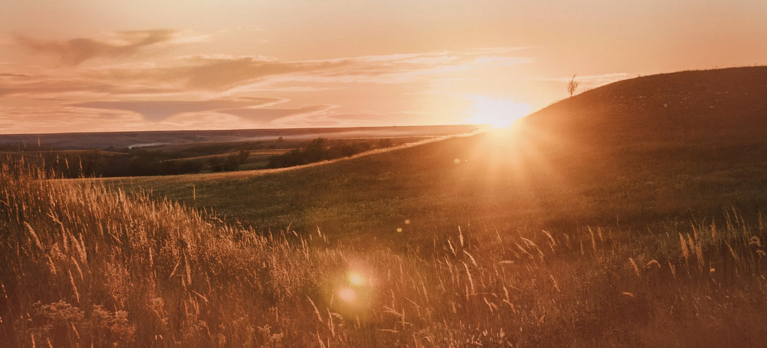 A sunset over a grassy hill with a small tree on the crest, casting a warm orange glow across the landscape.