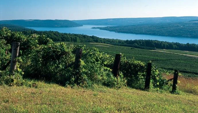 Keuka Lake Bluff image.jpg