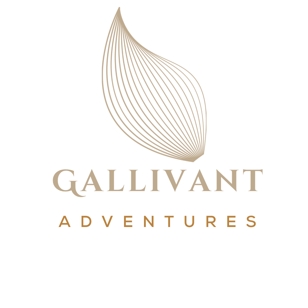 Gallivant Adventures
