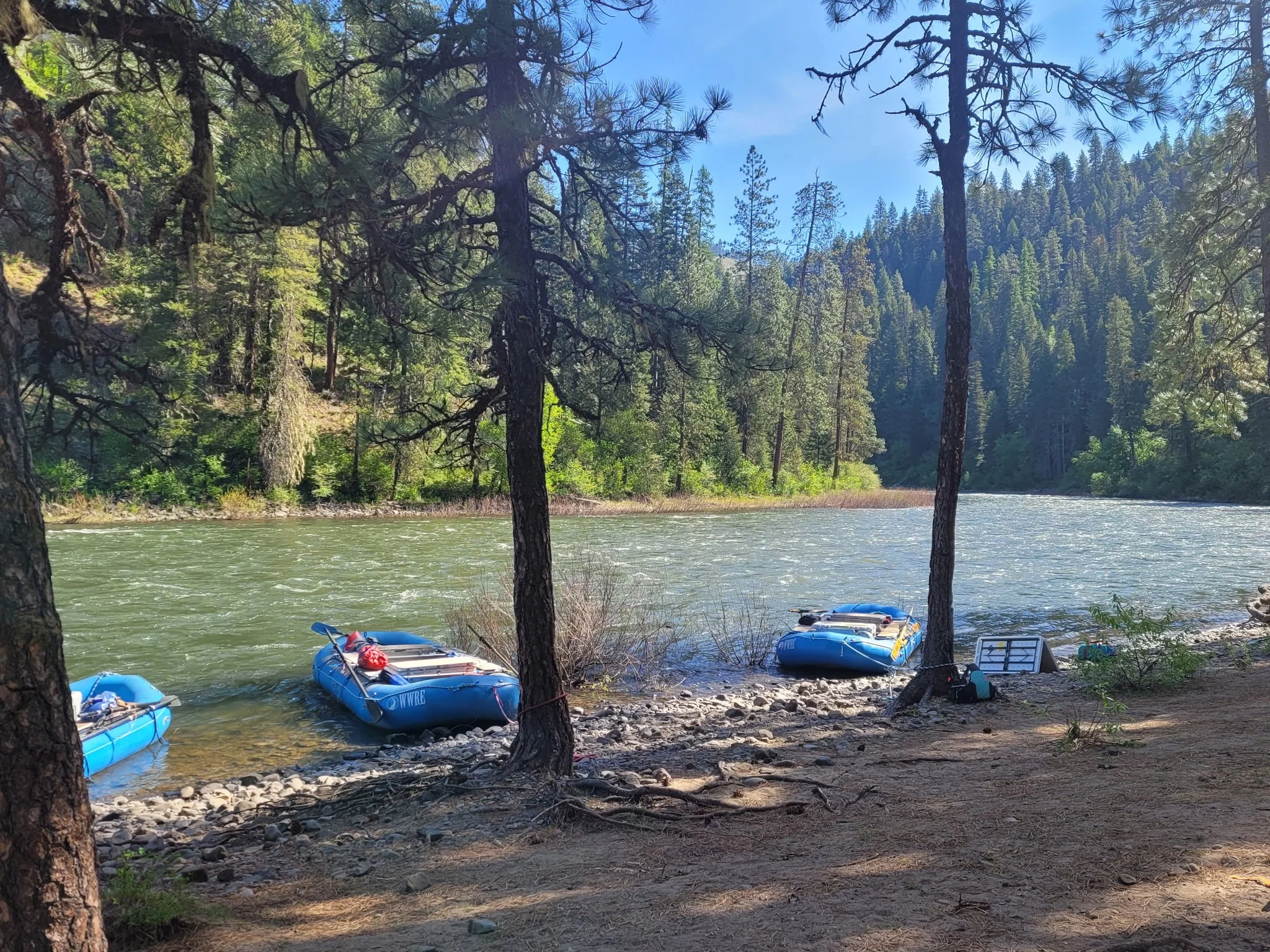 Three inflatable boats are tied to trees on the rocky shore of a river, surrounded by forest and mountains under a clear blue sky.