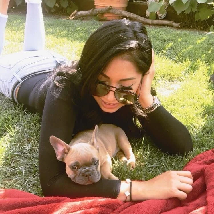 A woman with long black hair, wearing sunglasses, a black long sleeve shirt, and light blue jeans, is lying on the grass outdoors. She is resting her head on one hand and smiling, while a small tan French Bulldog puppy is lying nearby on the grass.