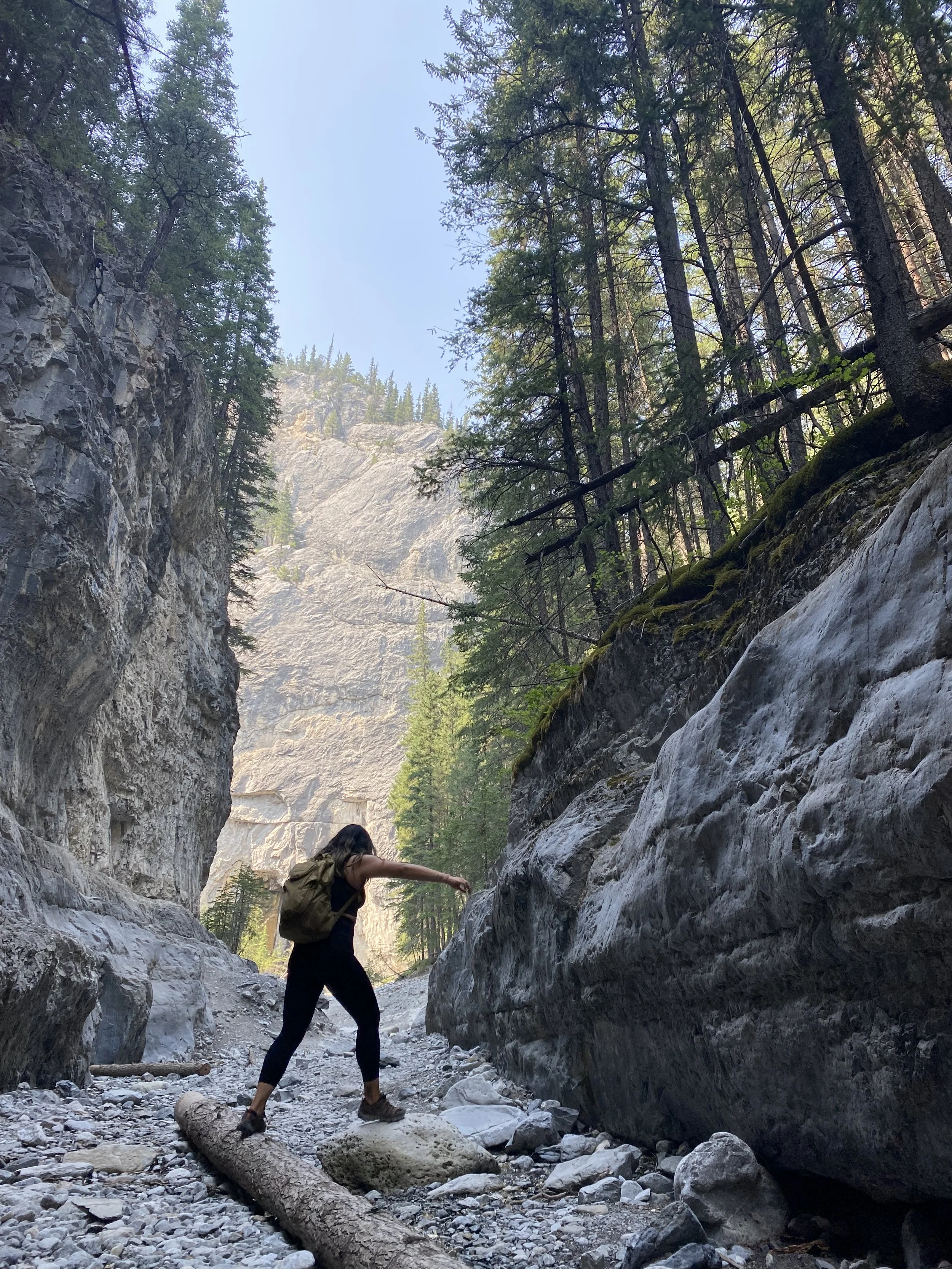A woman with a backpack balancing on a fallen log in a narrow rocky canyon surrounded by tall trees and high cliffs, with clear sky overhead.