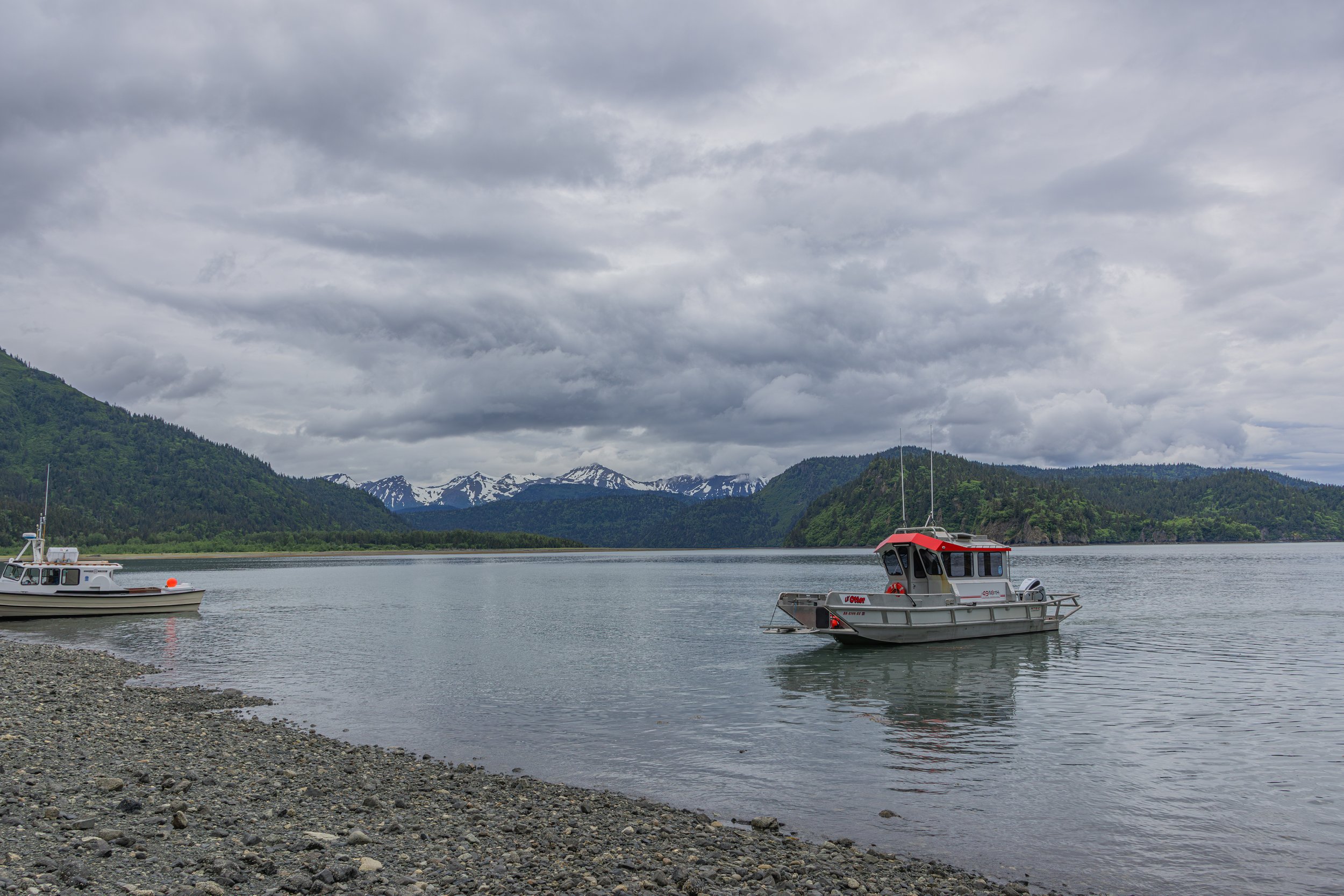 1J0A0772.jpg
