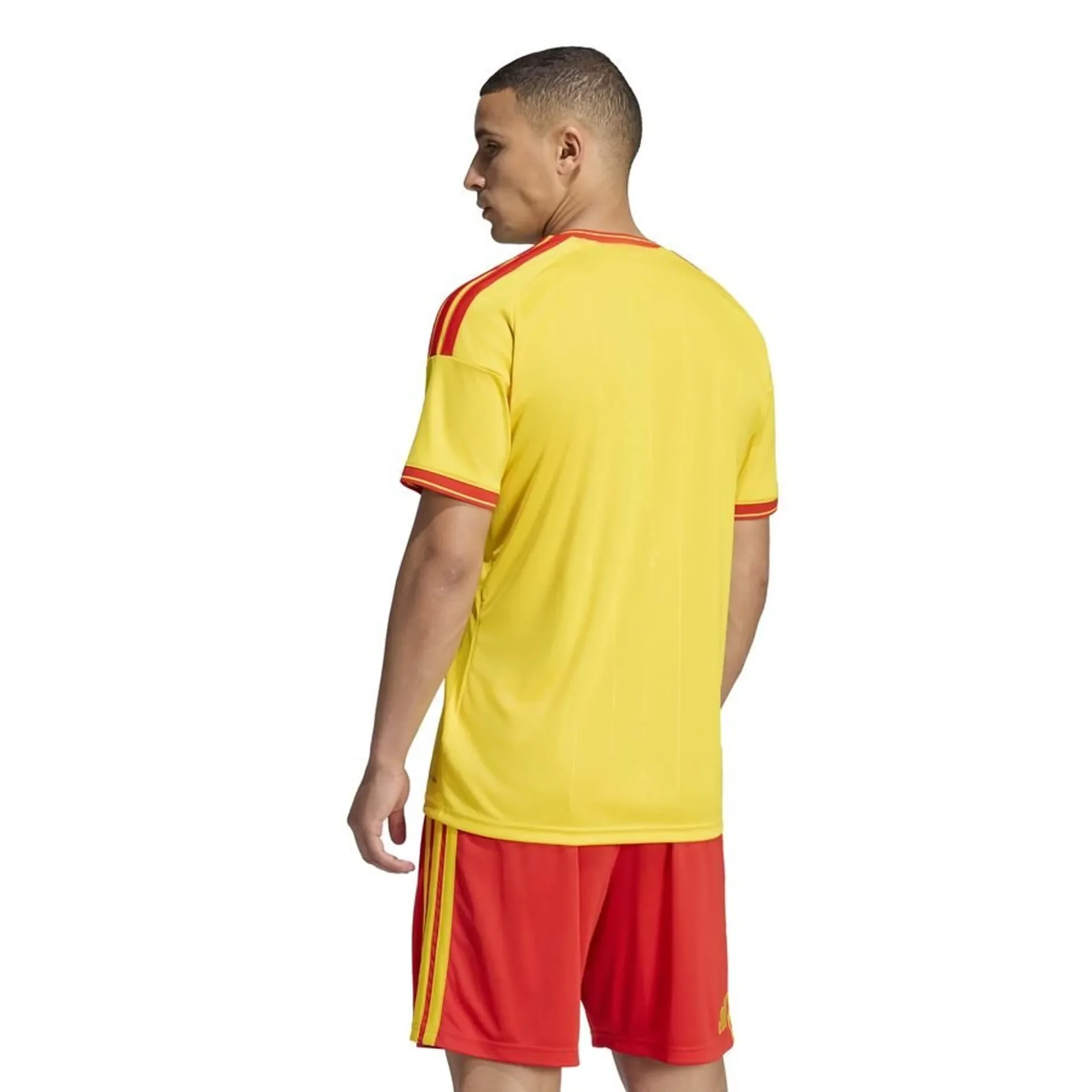 781221efad88.webp