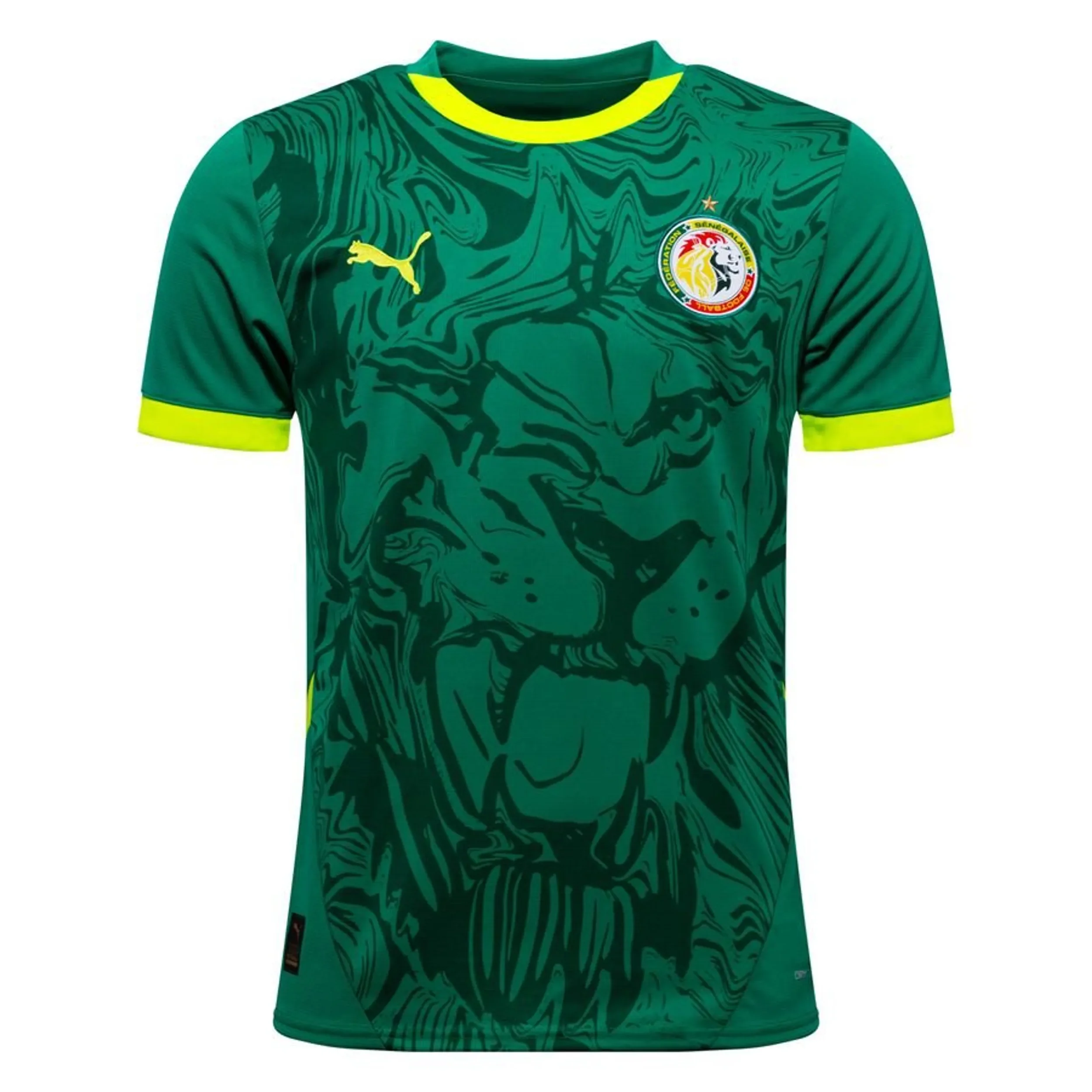 Sénégal Maillot Extérieur Africa Cup of Nations 2025
