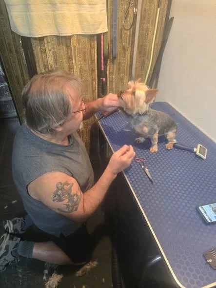 A man with tattoos on his arm trimming a small dog on a grooming table, with grooming tools and a mobile phone nearby, in a room with wooden paneling and a curtain.