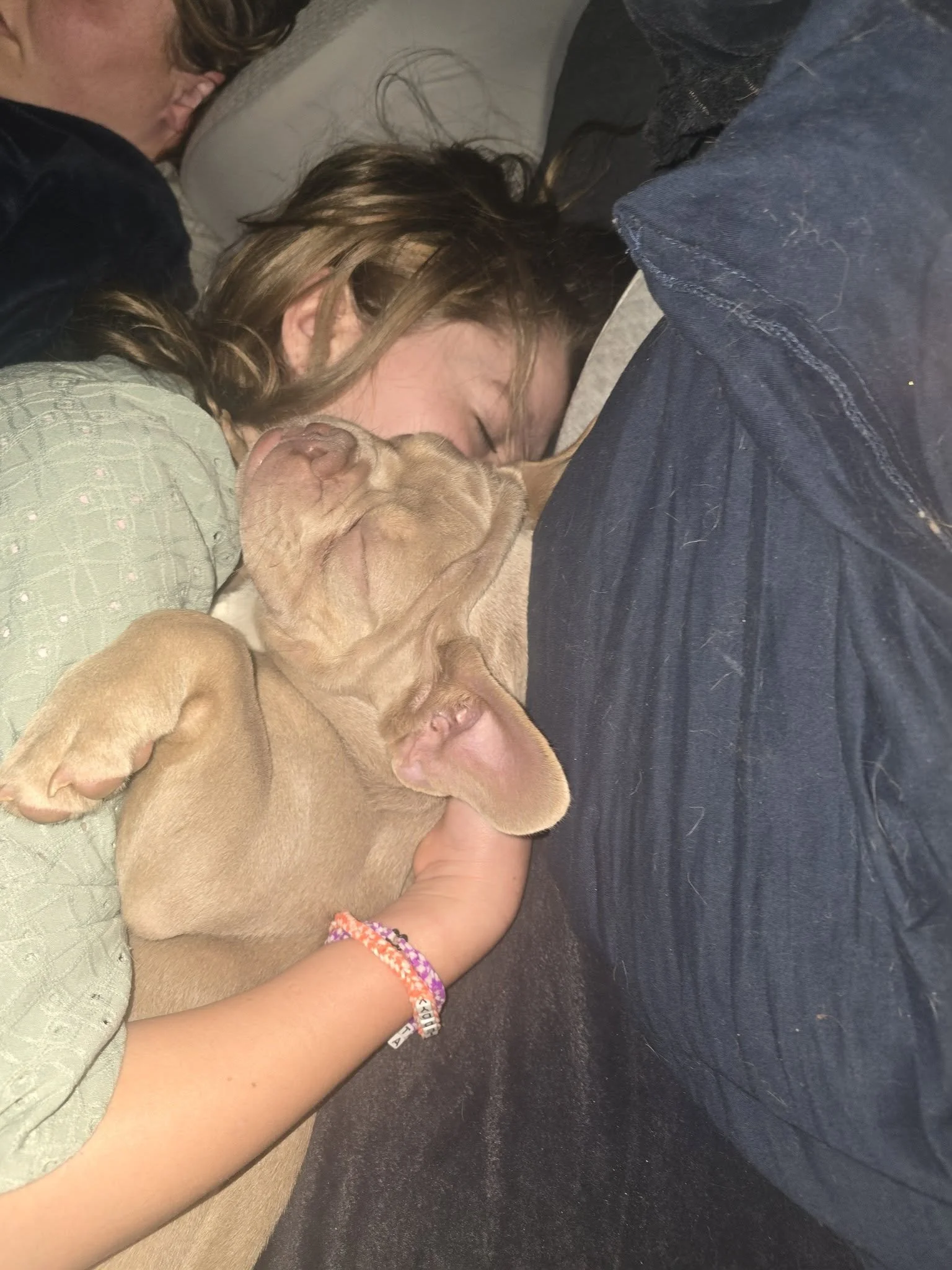 A woman and a girl lying on a bed with a light-colored pillow, cuddling a tan puppy with droopy ears, all sleeping peacefully.