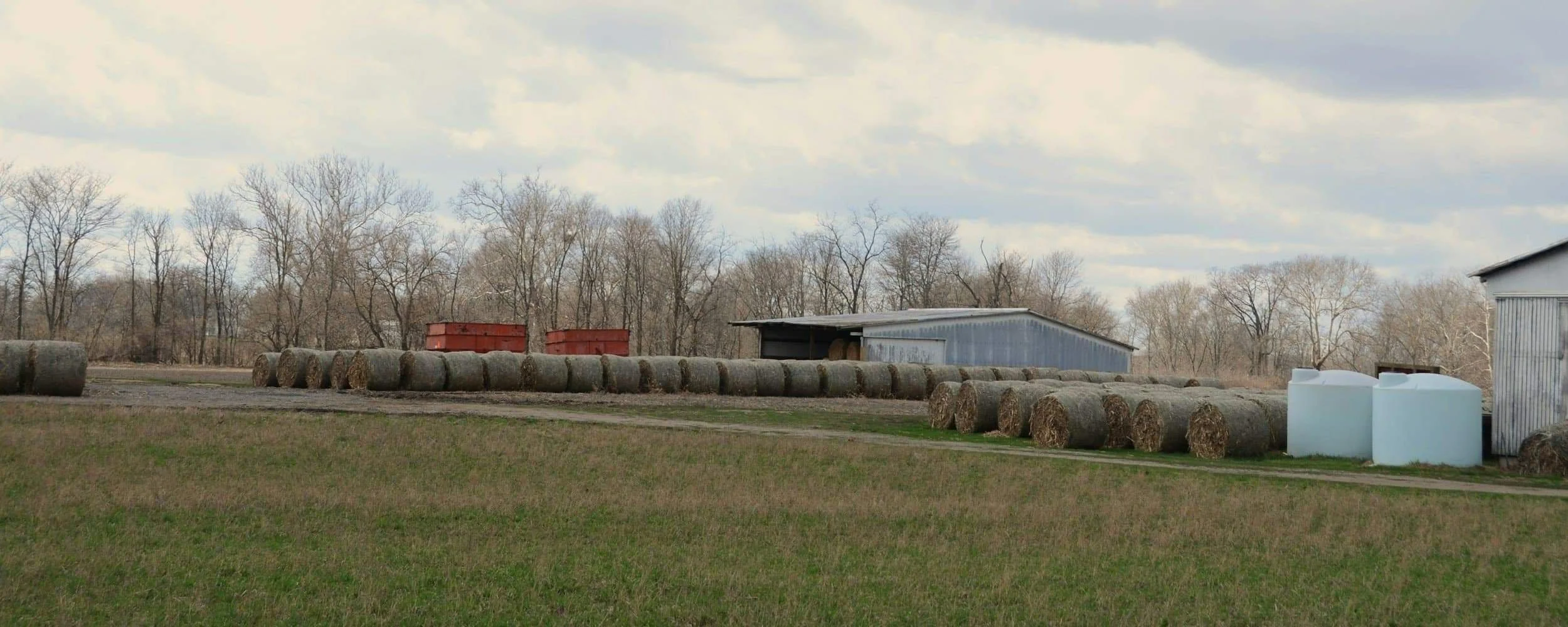 A rural scene with hay bales lined up on the ground, a small metal building, and large white and red storage tanks, with bare trees in the background under a cloudy sky.