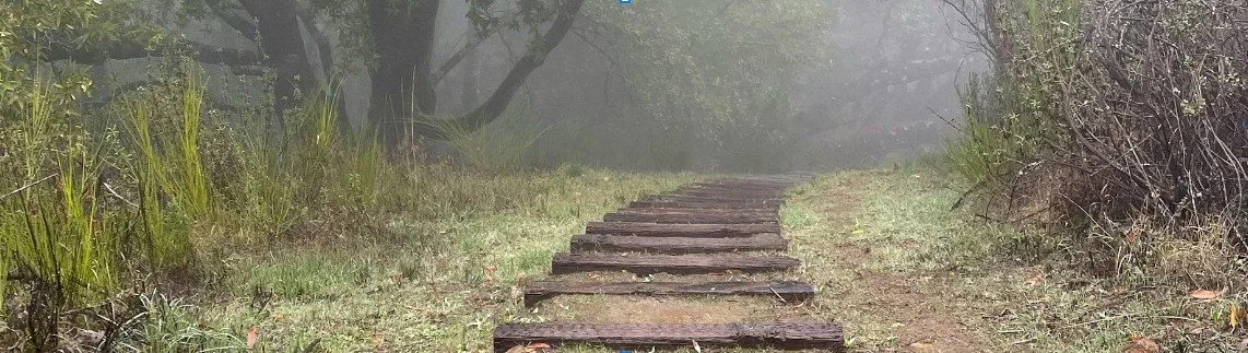 A foggy outdoor scene with a dirt path and wooden steps, surrounded by green trees and grass.