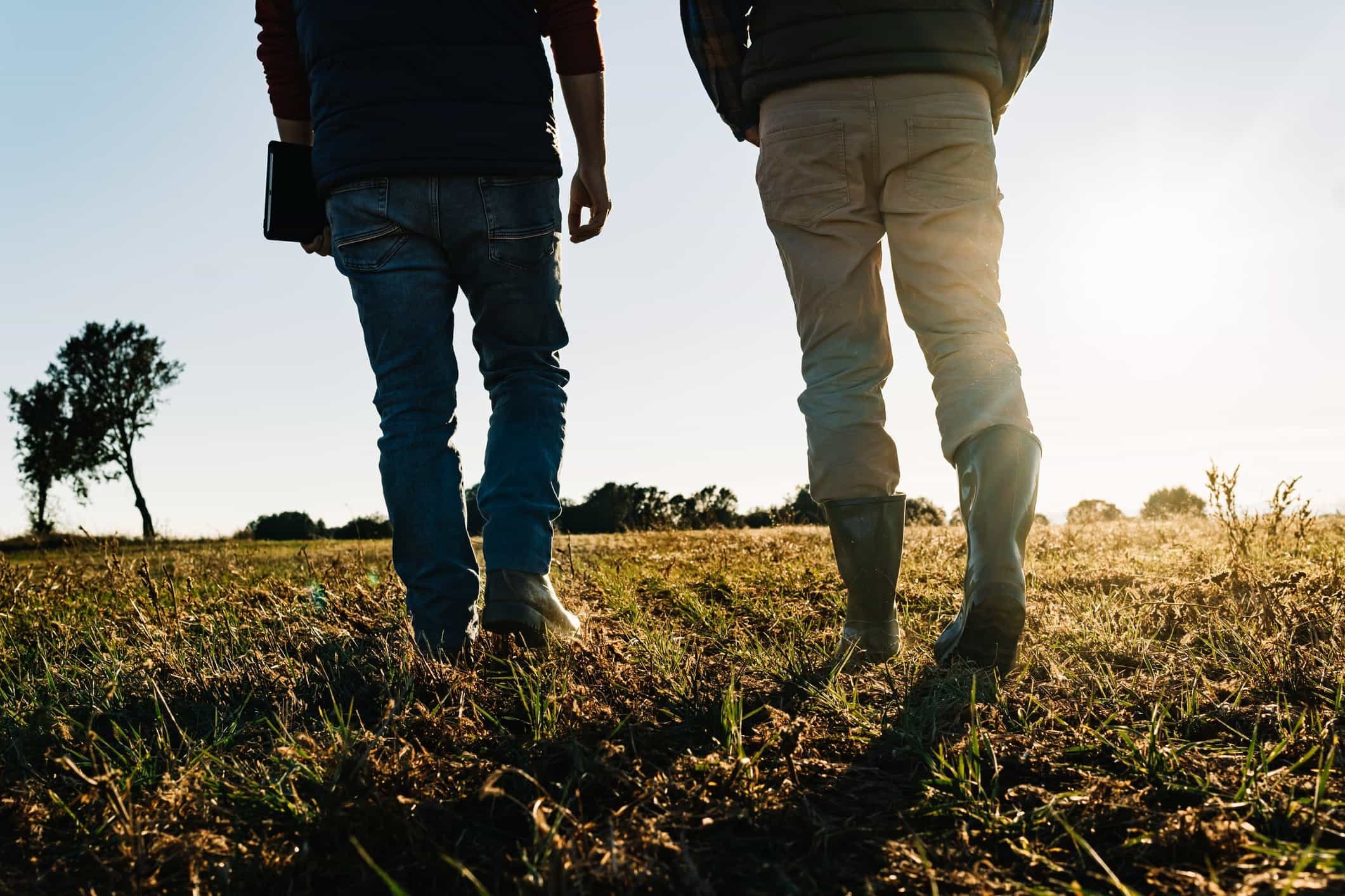 Two people walking through a field in the sunlight, one holding a tablet, the other wearing rain boots and beige pants.