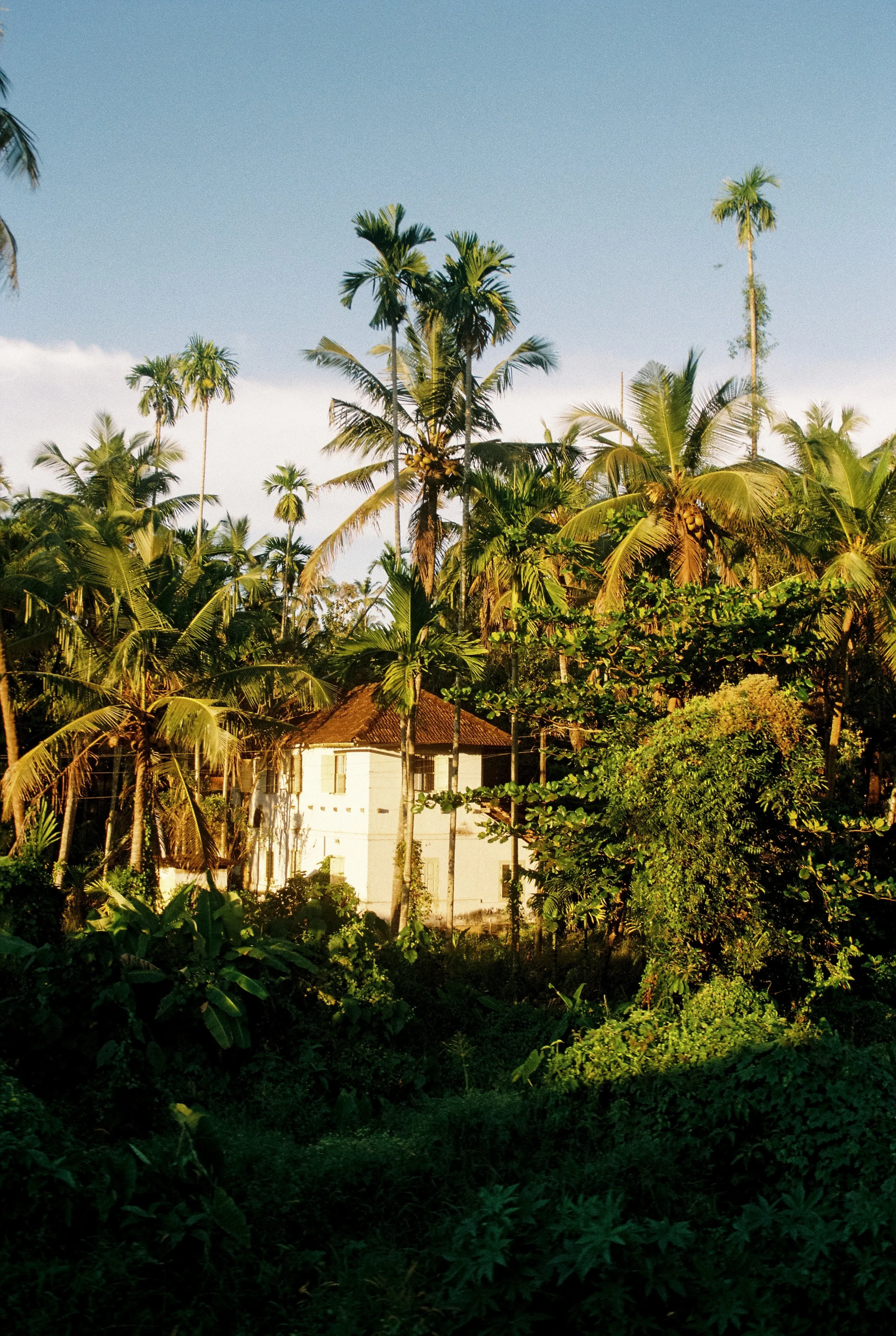 Ashraf_Postcards from Kannur (2) - Zeashan Ashraf.jpg