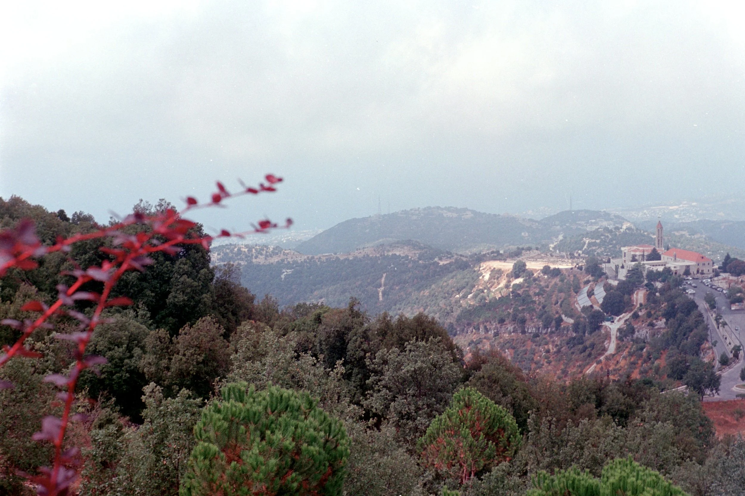 atwi_jbeil - Dahlia Atwi (Dee).jpg