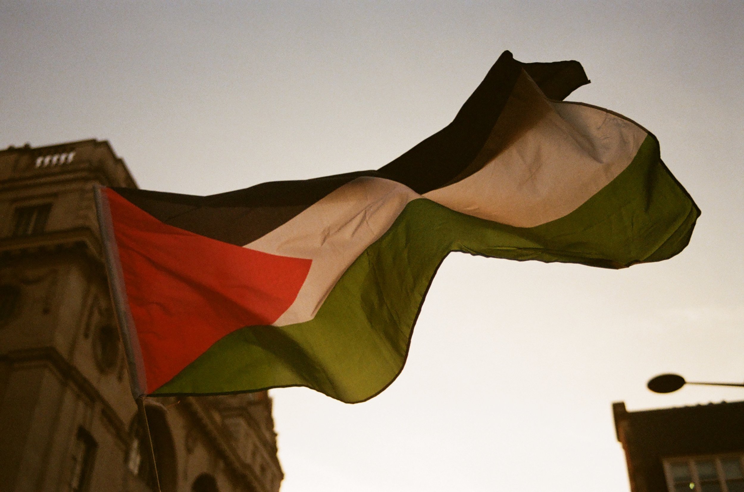 Ghamlooch_Palestine Flag - Amal Ghamlooch.jpeg