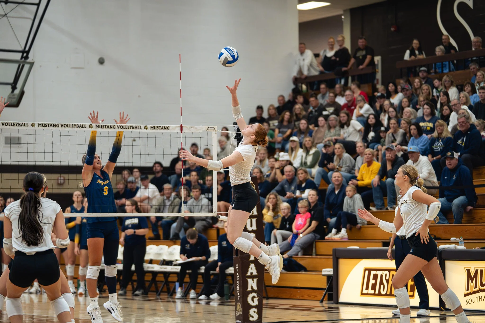 SMSU Volleyball vs. Augustana! READ FAQs BEFORE DOWNLOADING // For High Quality Download and posting Instructions Scroll up to FAQ's at the top of this page! (Follow the instructions and tag us in your posts!)