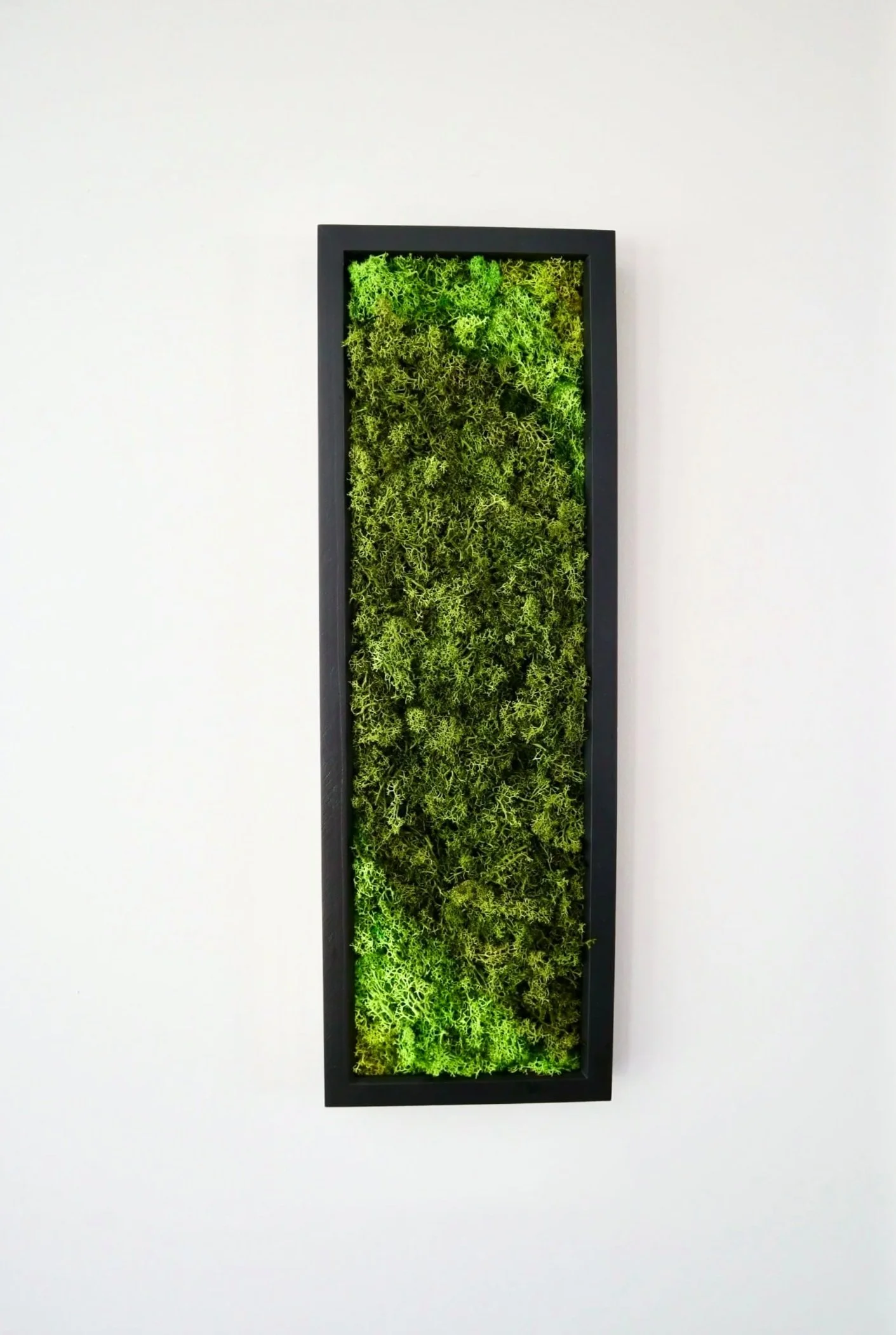 Vertical preserved moss artwork in a black frame created by Moss Born