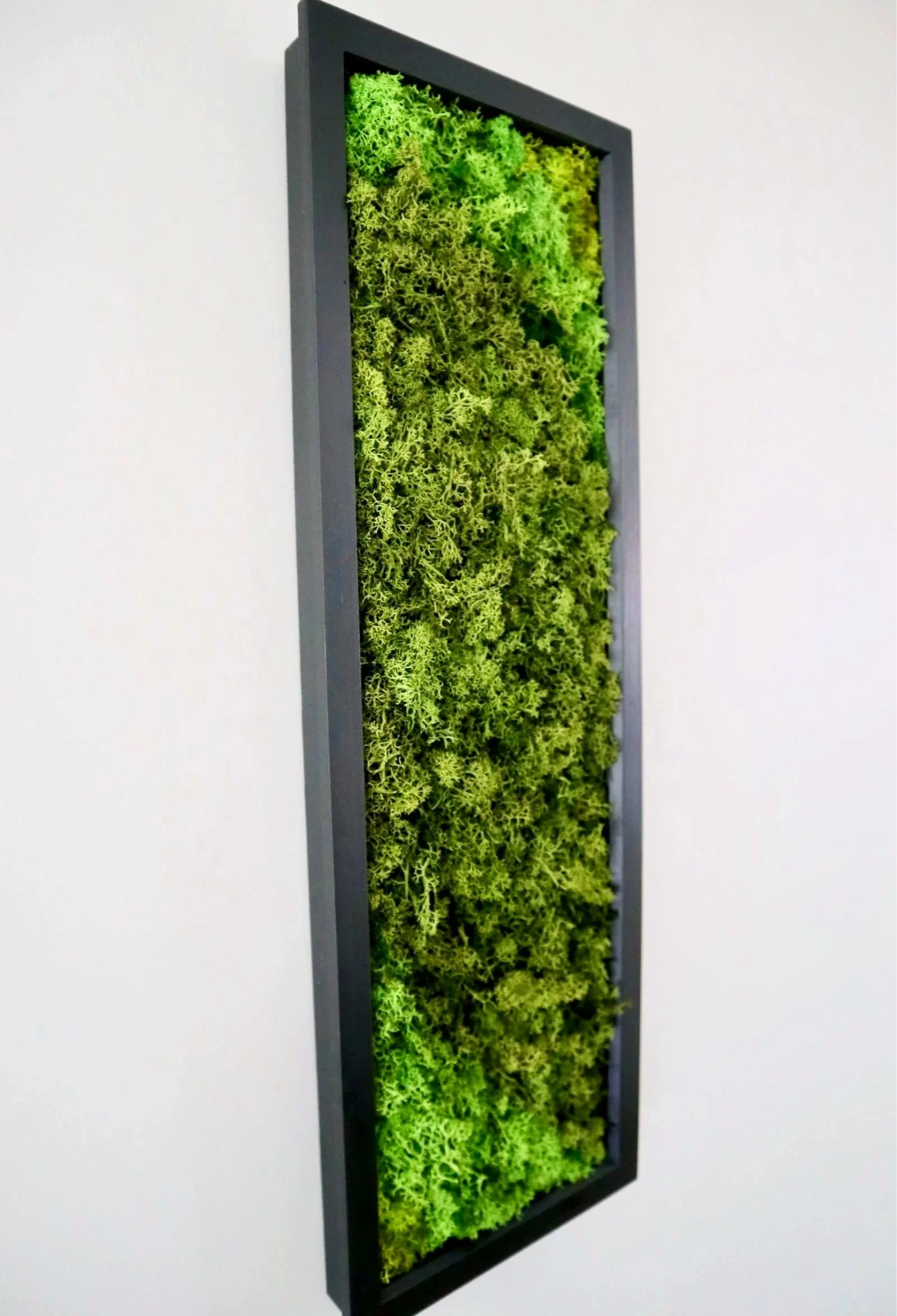 Side view of preserved moss artwork showing texture and depth
