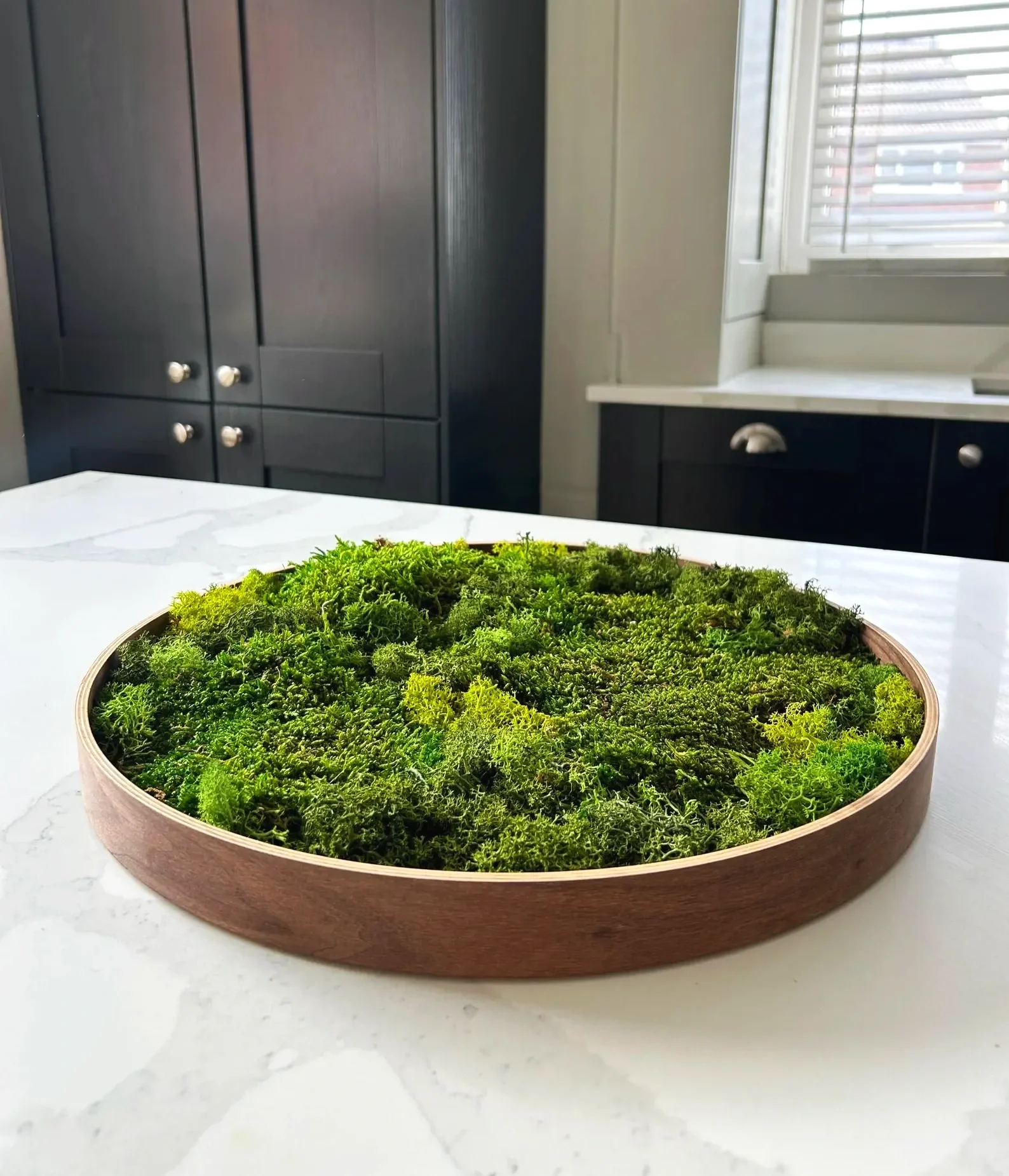 Round preserved moss centrepiece in a wooden tray, handcrafted with mixed green moss for natural home, wedding and event styling.