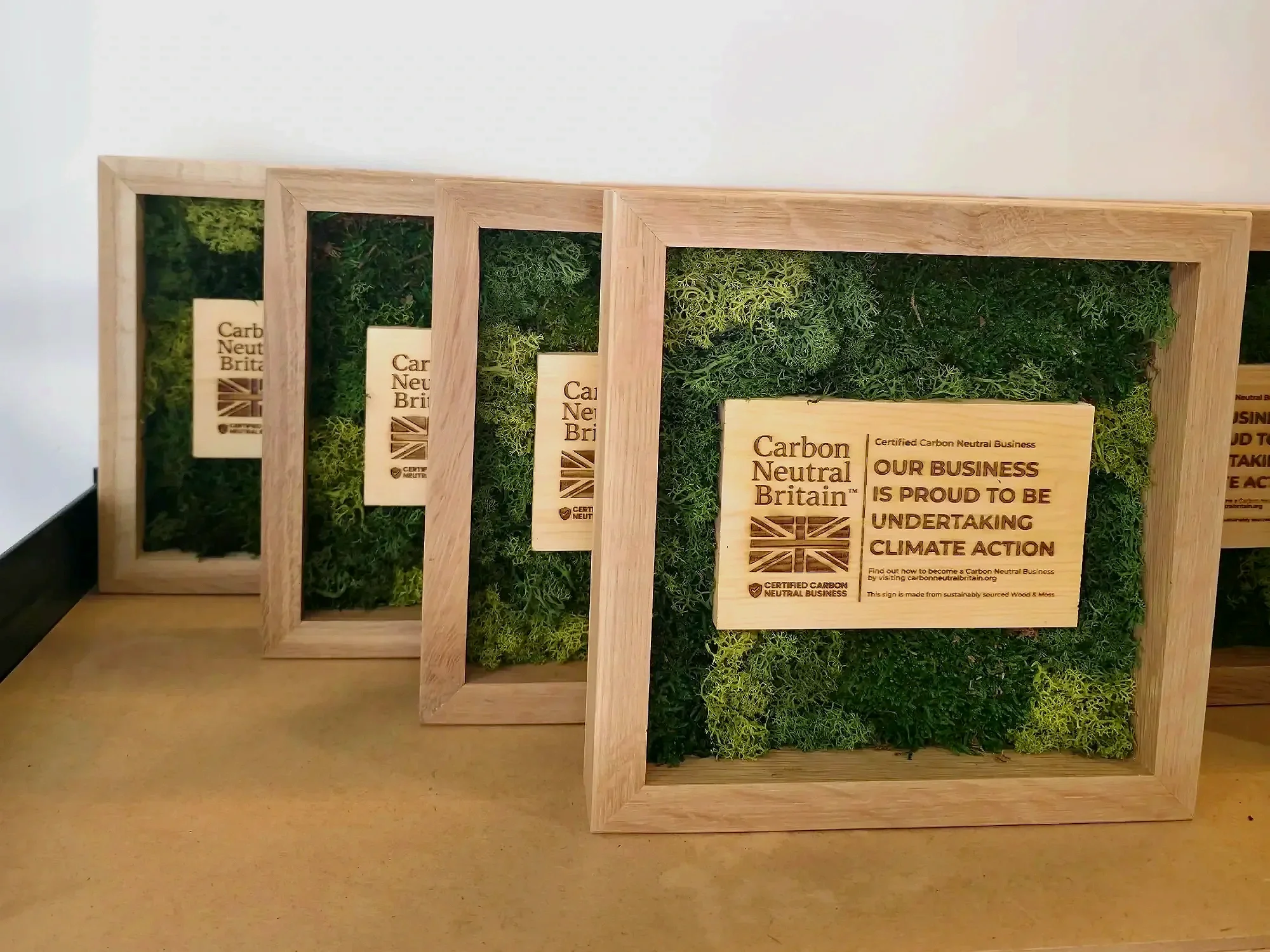 Group of preserved moss pieces with engraved Carbon Neutral Britain wooden plaques in oak frames.