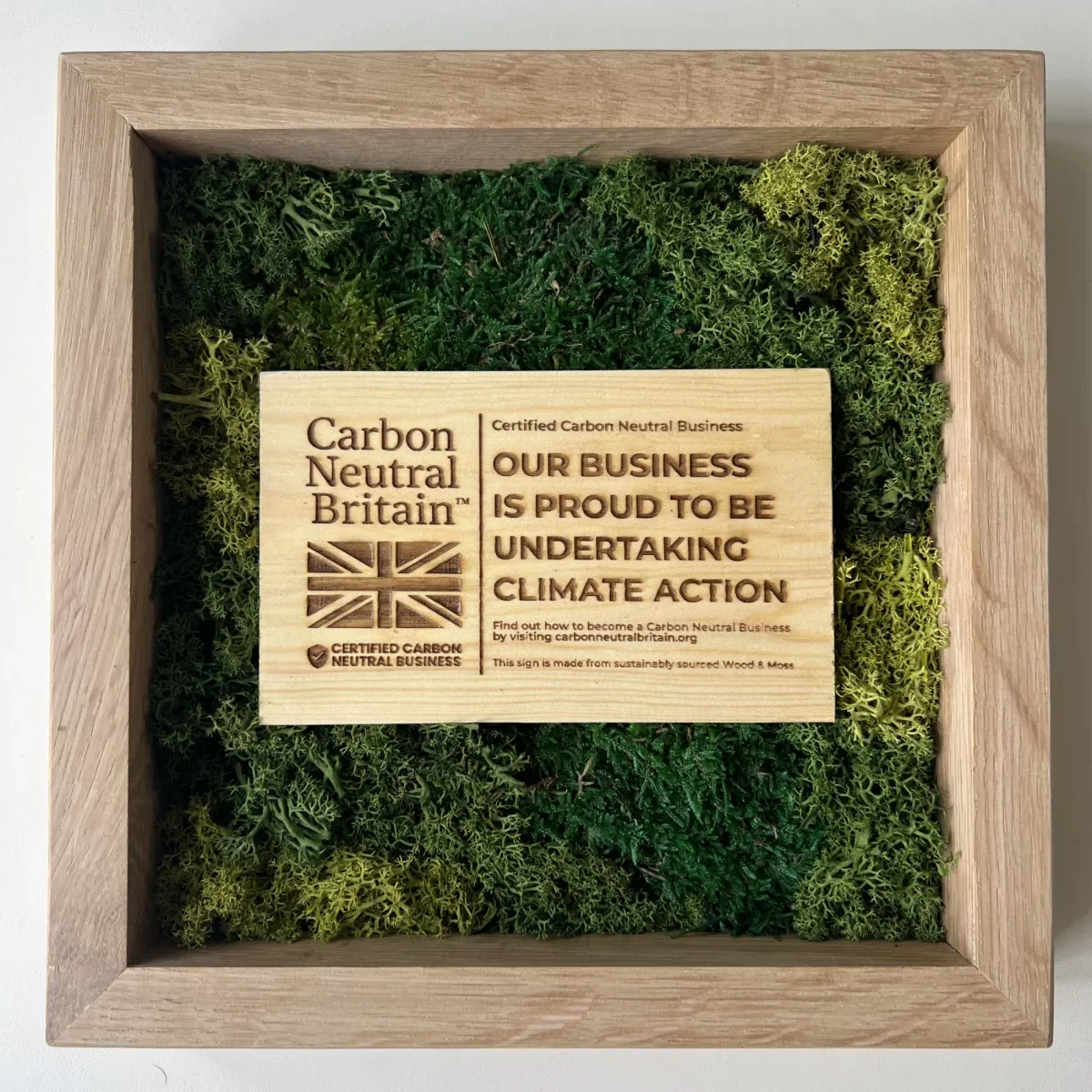 Finished Carbon Neutral Britain piece with preserved moss, oak frame and engraved wooden plaque.