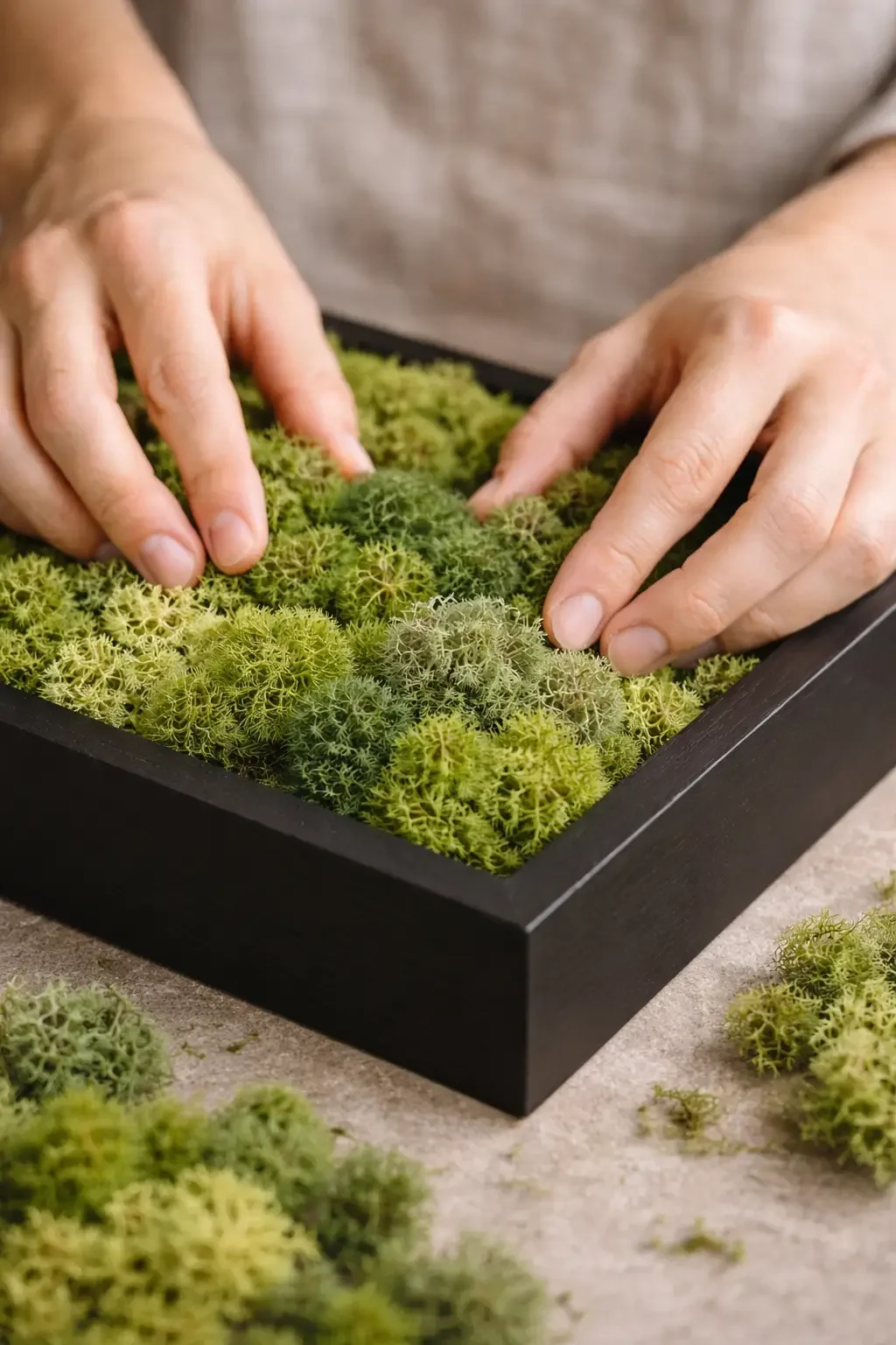 Hands placing preserved reindeer moss into a moss art frame