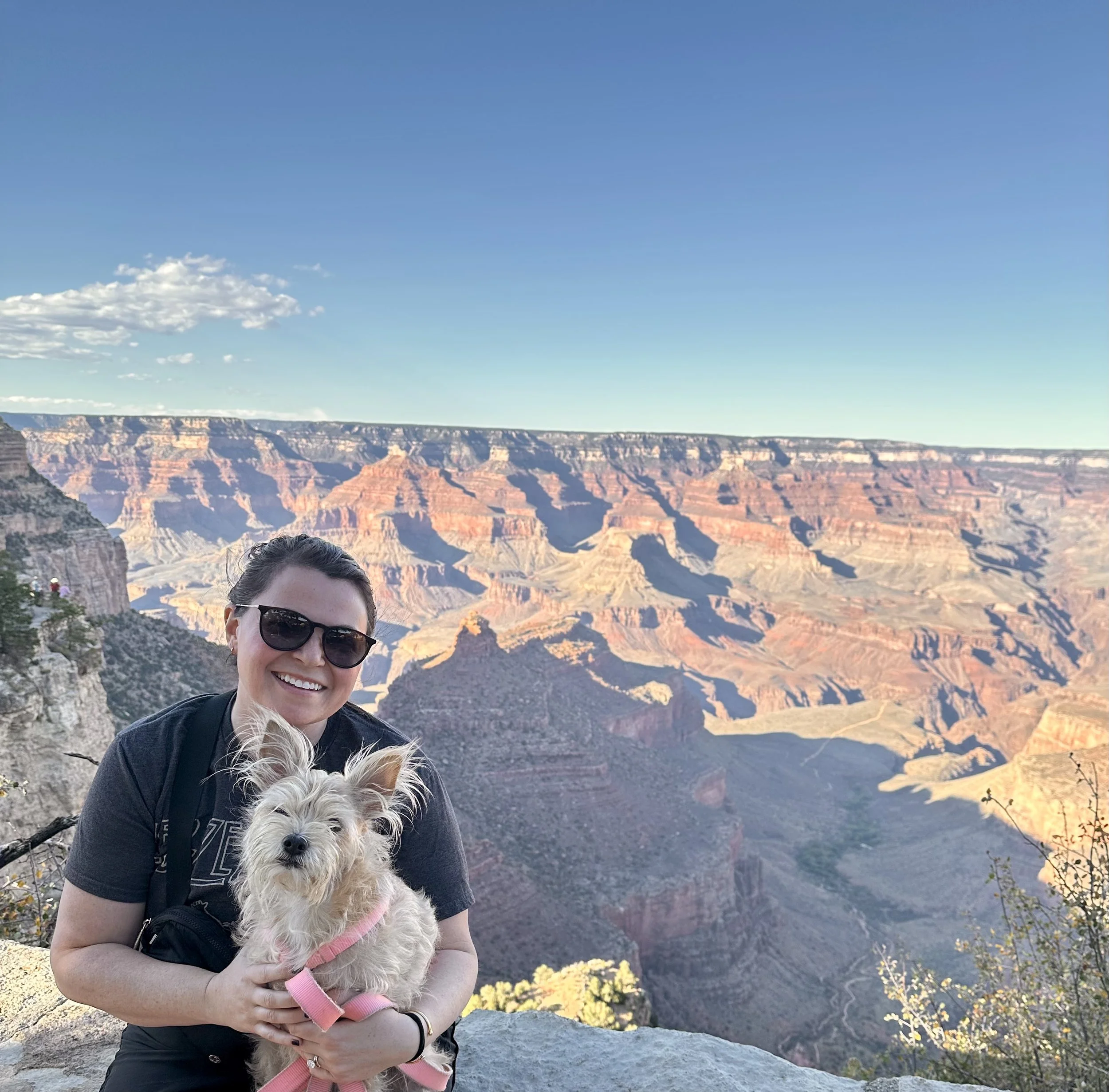 A woman wearing sunglasses and a black T-shirt holding a small, light-colored dog with a pink harness in front of the Grand Canyon during daytime.