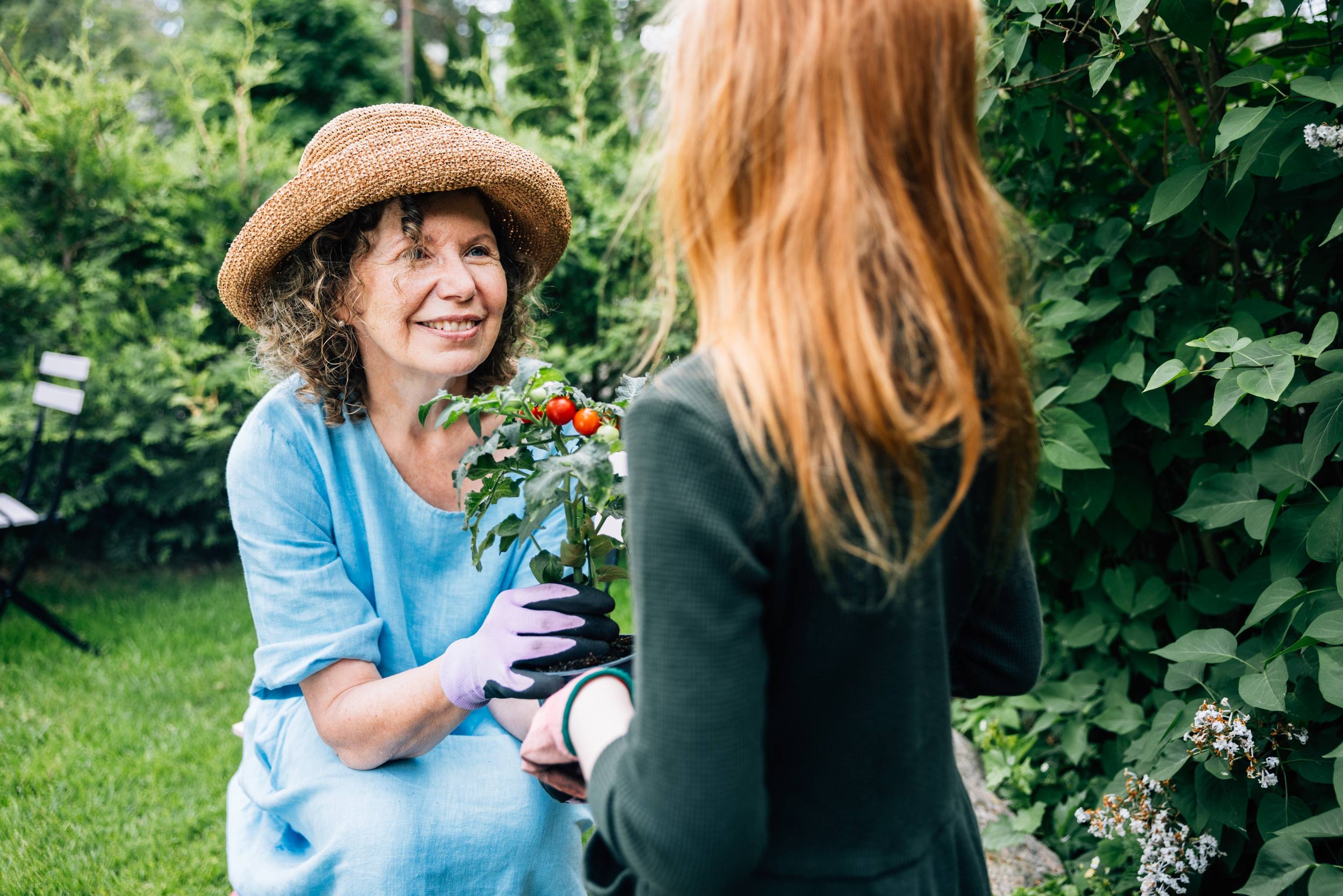 A woman with curly hair wearing a straw hat and blue shirt, smiling and holding a small potted tomato seedling, talking to another person with red hair in a garden filled with green plants.