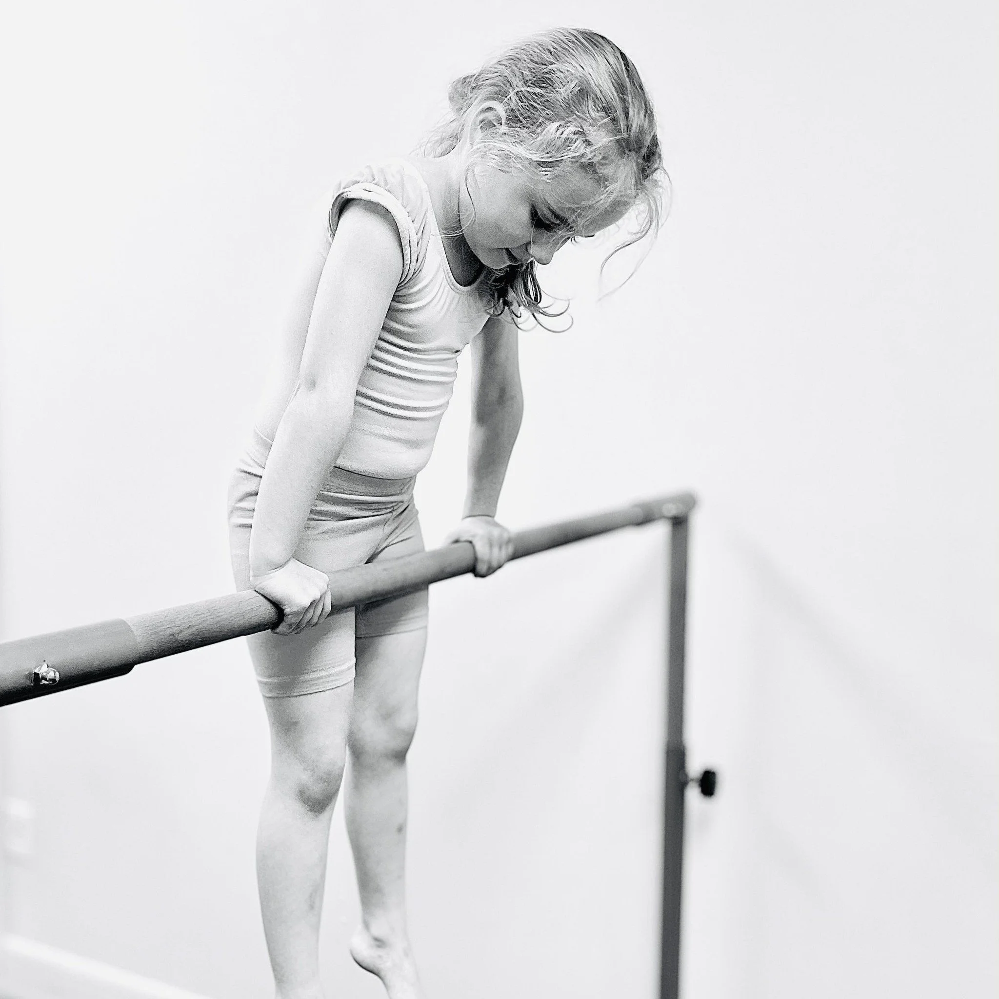 amelia horizontal bar.jpg