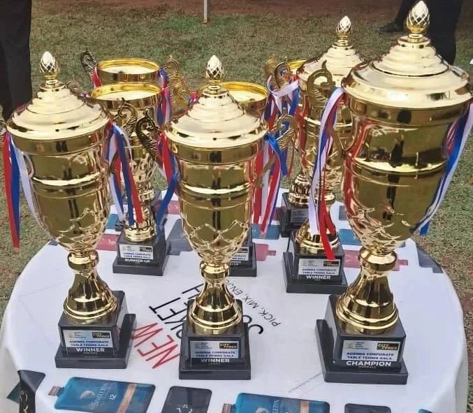 Multiple large gold trophies with ribbons on a table, likely for a competition or contest.