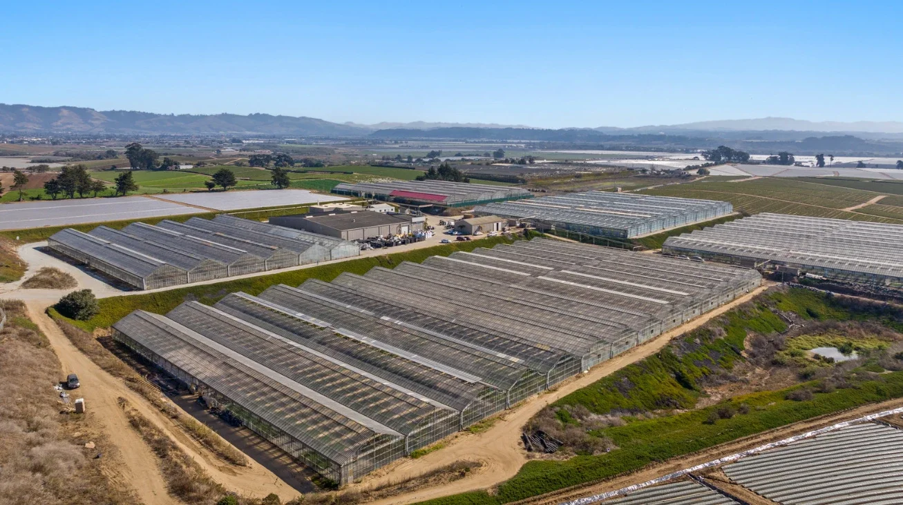 Watsonville, California 1.webp