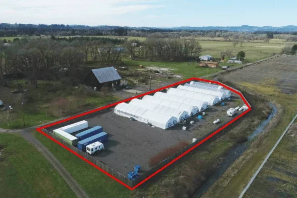 562007_49082 (1).webp