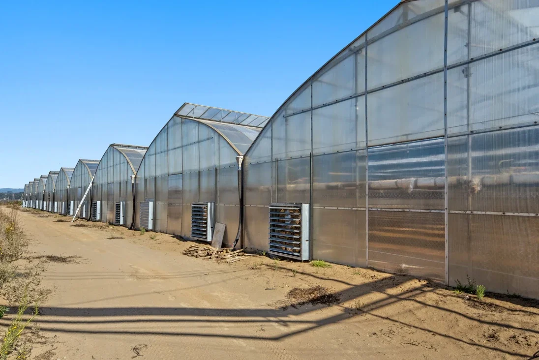 Watsonville, California 4.webp