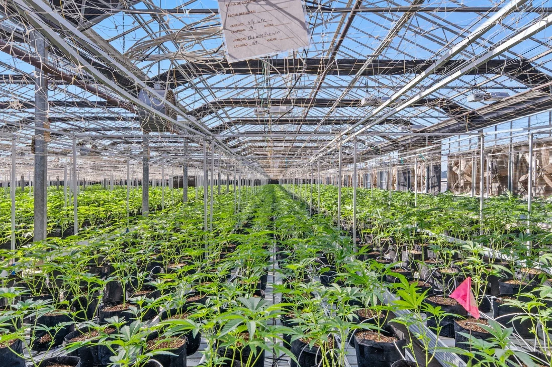 Watsonville, California 3.webp